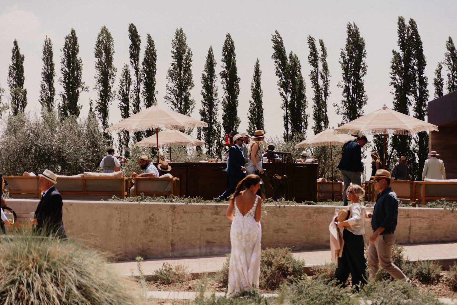 Wedding guests gather outdoors in a scenic garden venue with tall cypress trees lining the perimeter.
