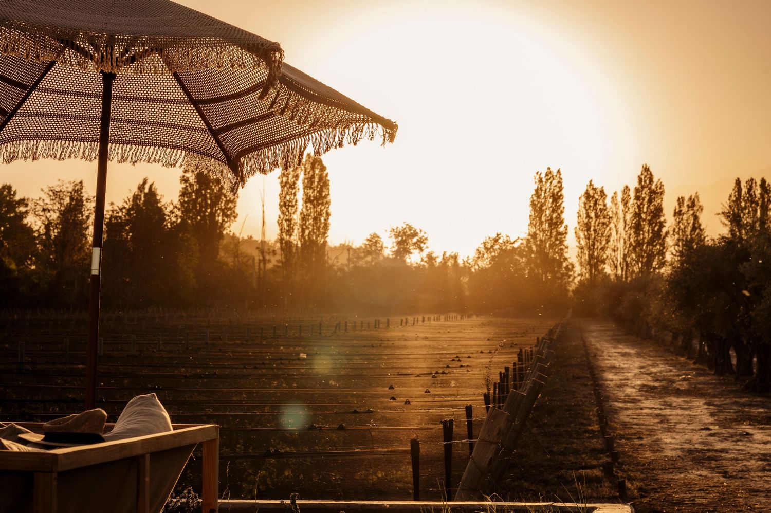 Golden sunset illuminates a wooden pavilion and empty benches at an outdoor amphitheater.