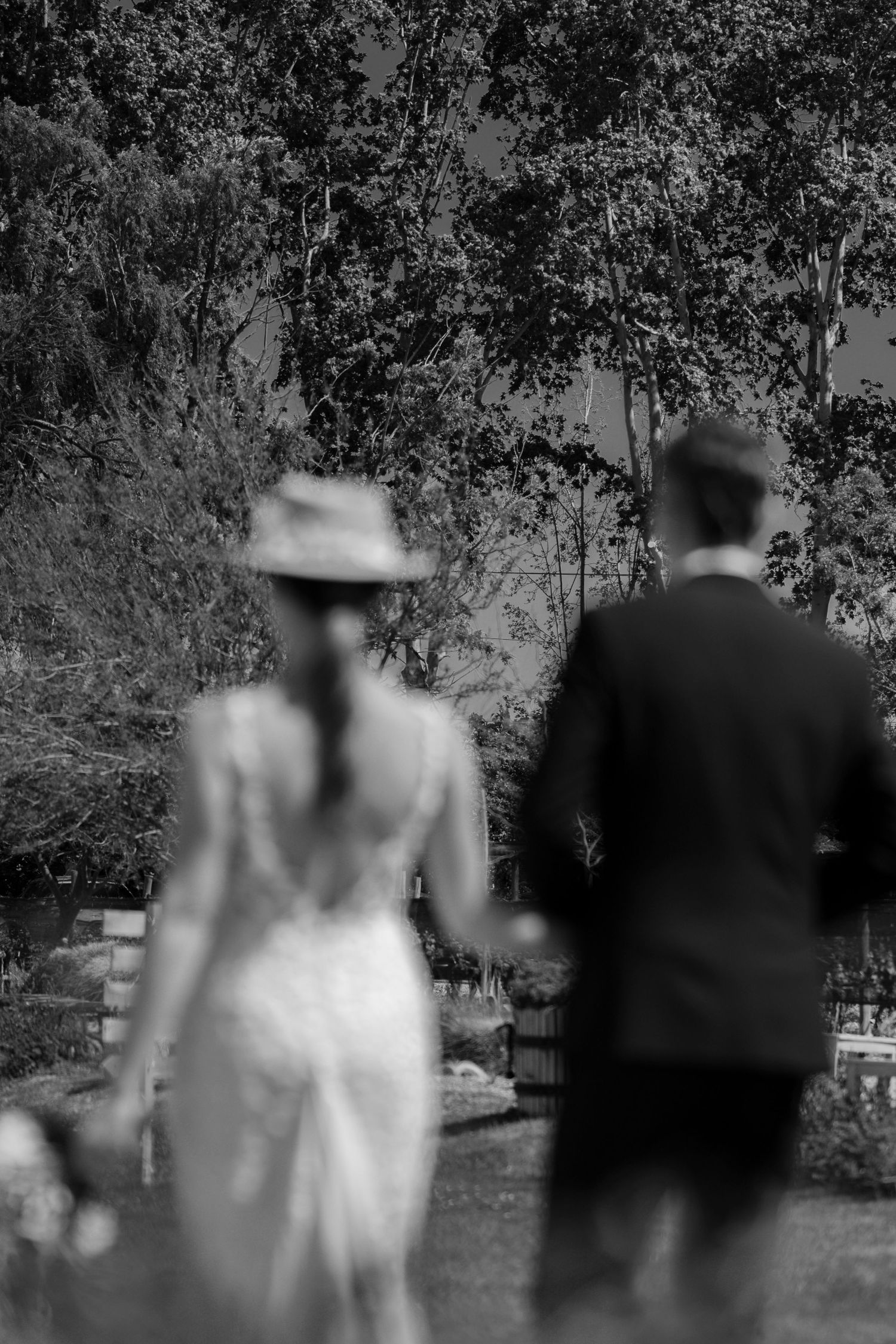 Black and white artistic wedding photo showing a couple from behind in a garden setting, with soft focus and dreamy lighting.