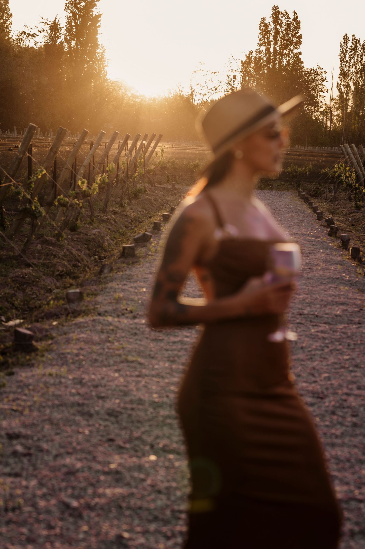 A silhouetted figure walks through a sun-drenched vineyard at golden hour with rows of grapevines stretching into the distance.