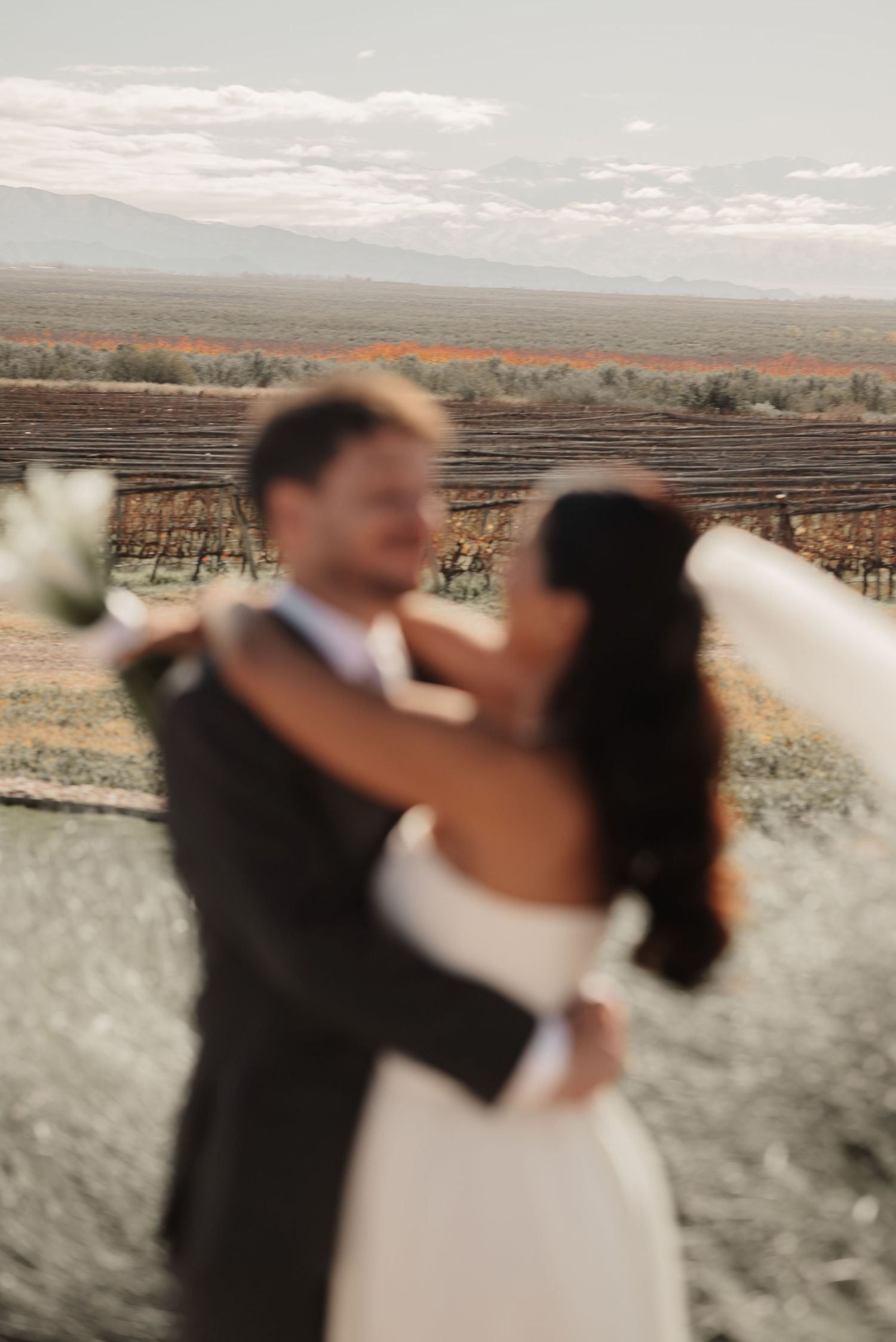 Blurred romantic wedding couple embracing in vineyard with mountain backdrop on their special day.
