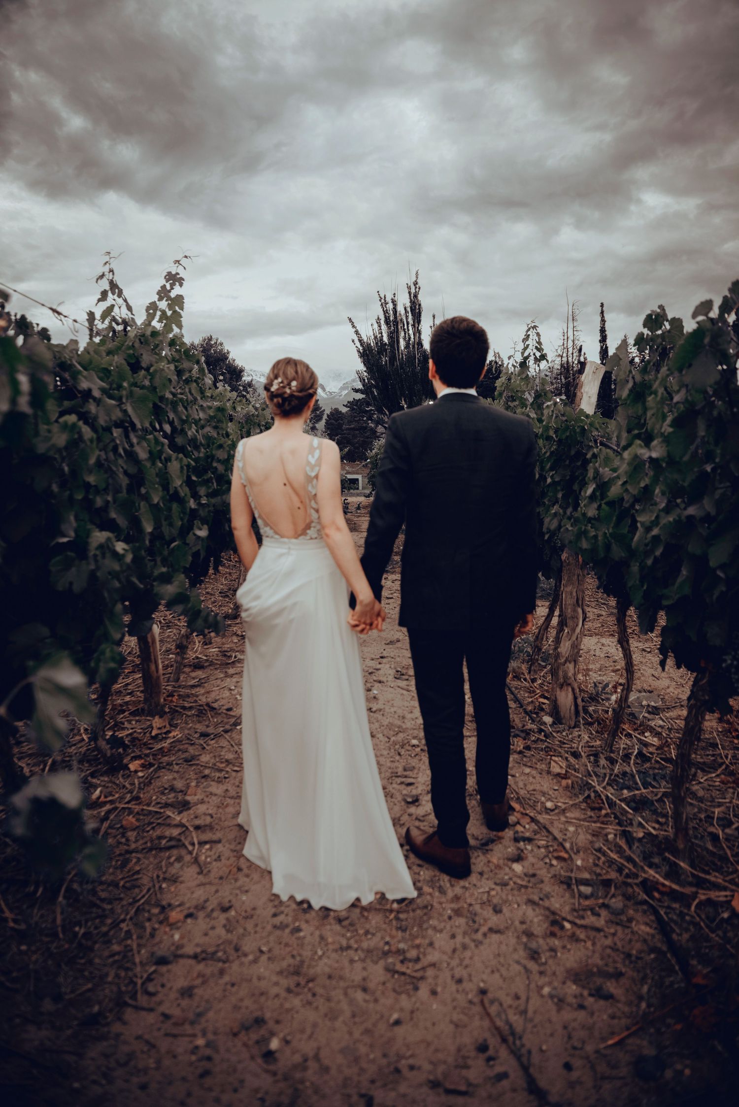 Pareja de novios caminando entre los viñedos durante su boda en Mendoza, rodeados de luz dorada y naturaleza.