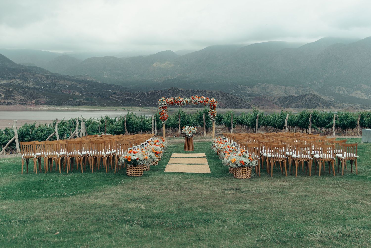 Panoramic view of vineyard rows extending across rolling hills with mountains in the misty background.