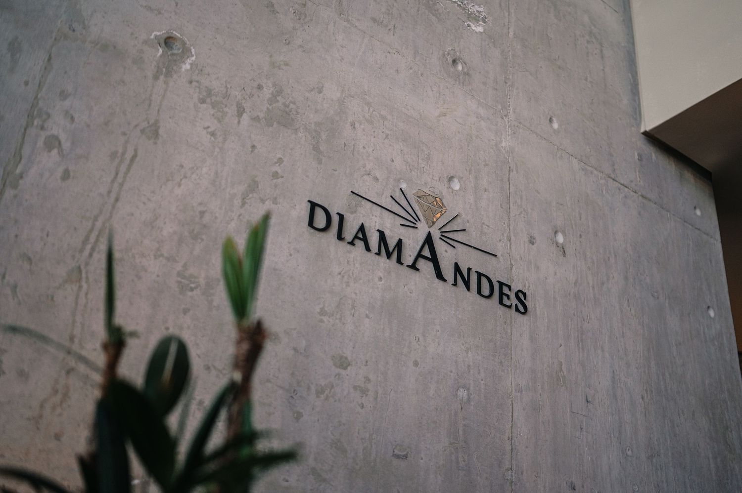 DiamAndes logo displayed on a modern concrete wall with green plants in the foreground.