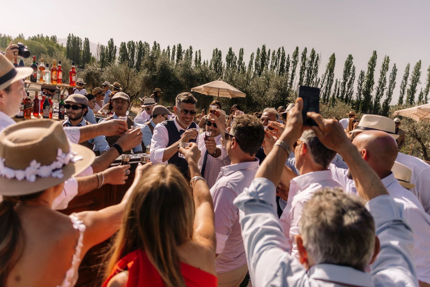 Crowd of festival goers raise their drinks in a celebratory toast at an outdoor summer event with tall trees in background.