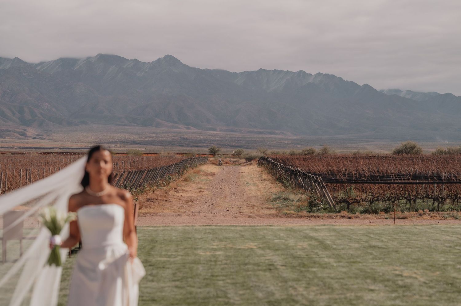 Bride in white gown with flowing veil stands before vineyard rows and dramatic mountain backdrop.