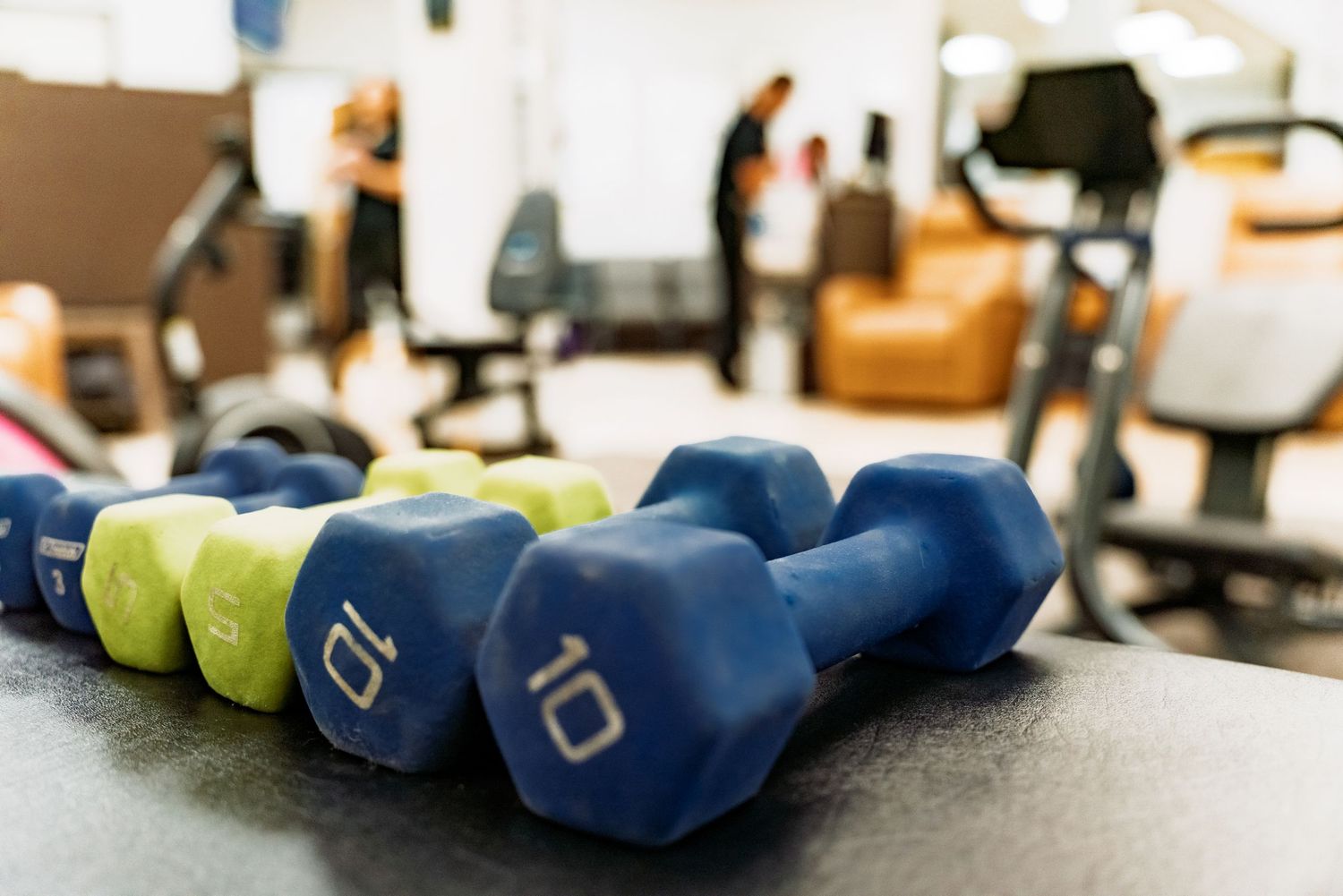 Rows of blue dumbbells arranged on a black workout bench in a bright fitness facility.