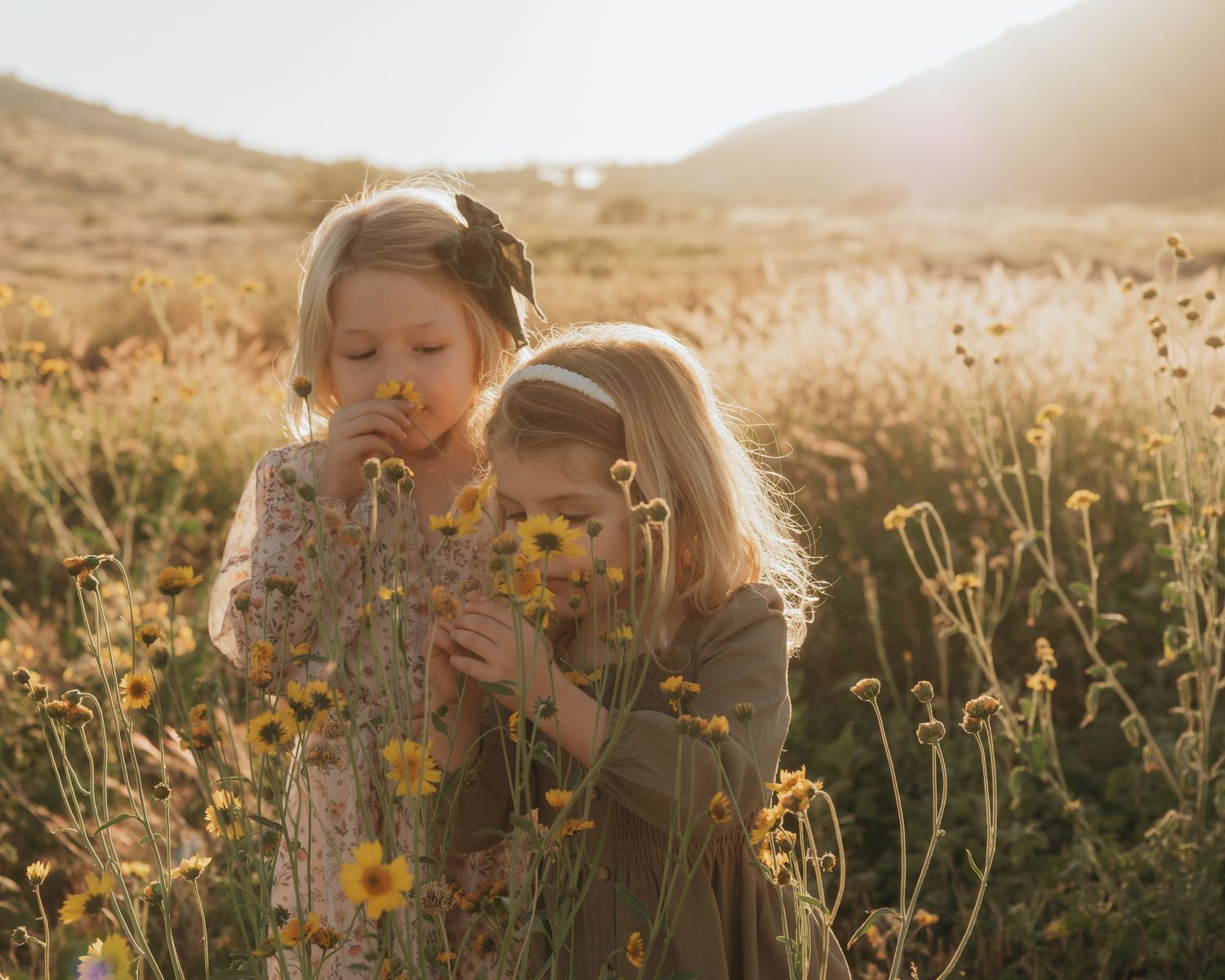 Two children in a golden meadow blowing on dandelions at sunset in warm sunlight.