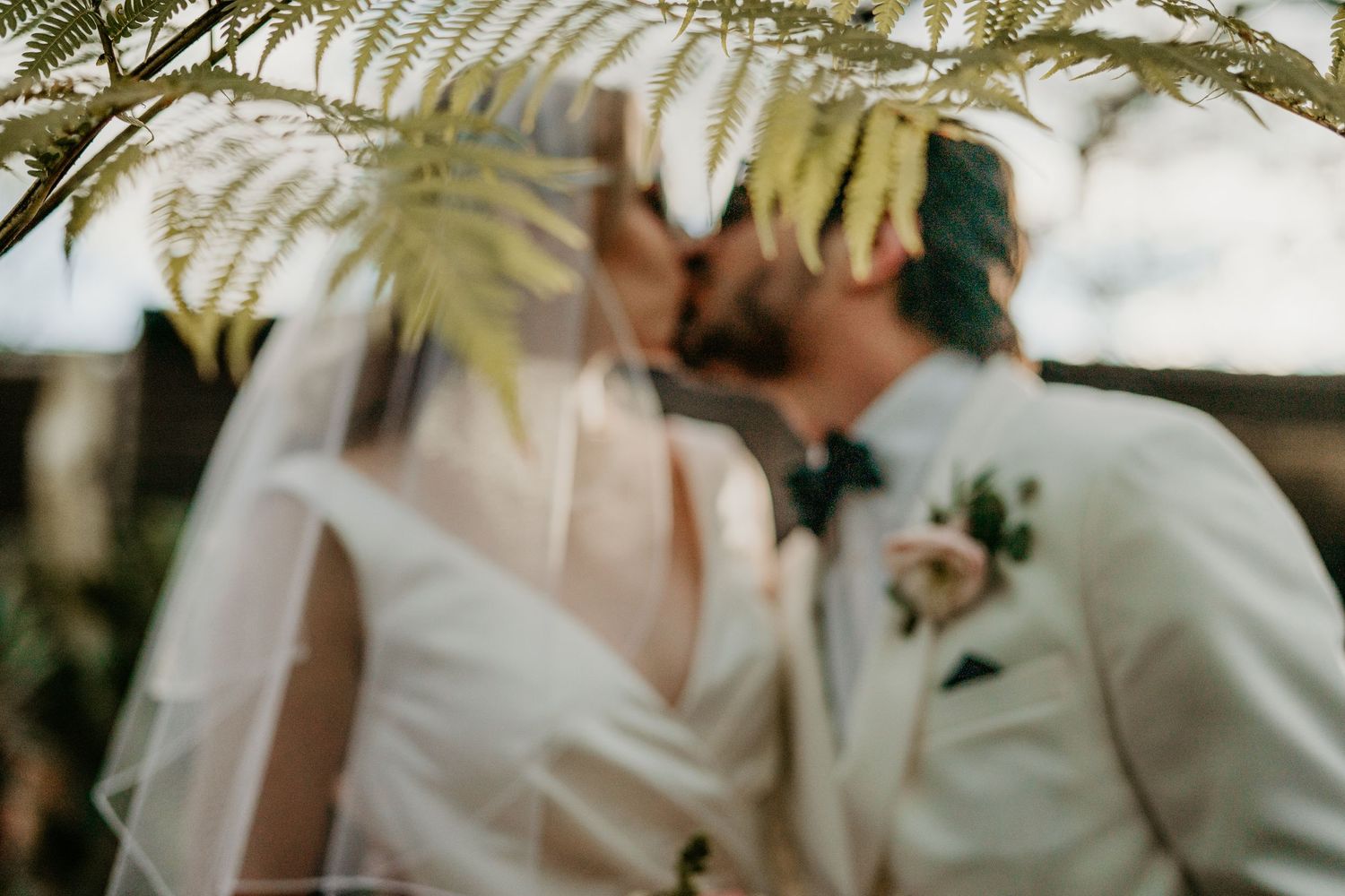 An artistic wedding photo framed by fern leaves with soft focus.