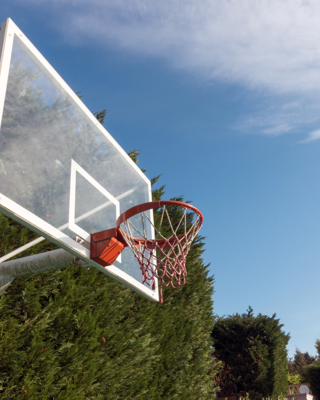 Outdoor basketball hoop with transparent backboard against blue sky, surrounded by lush green hedges.