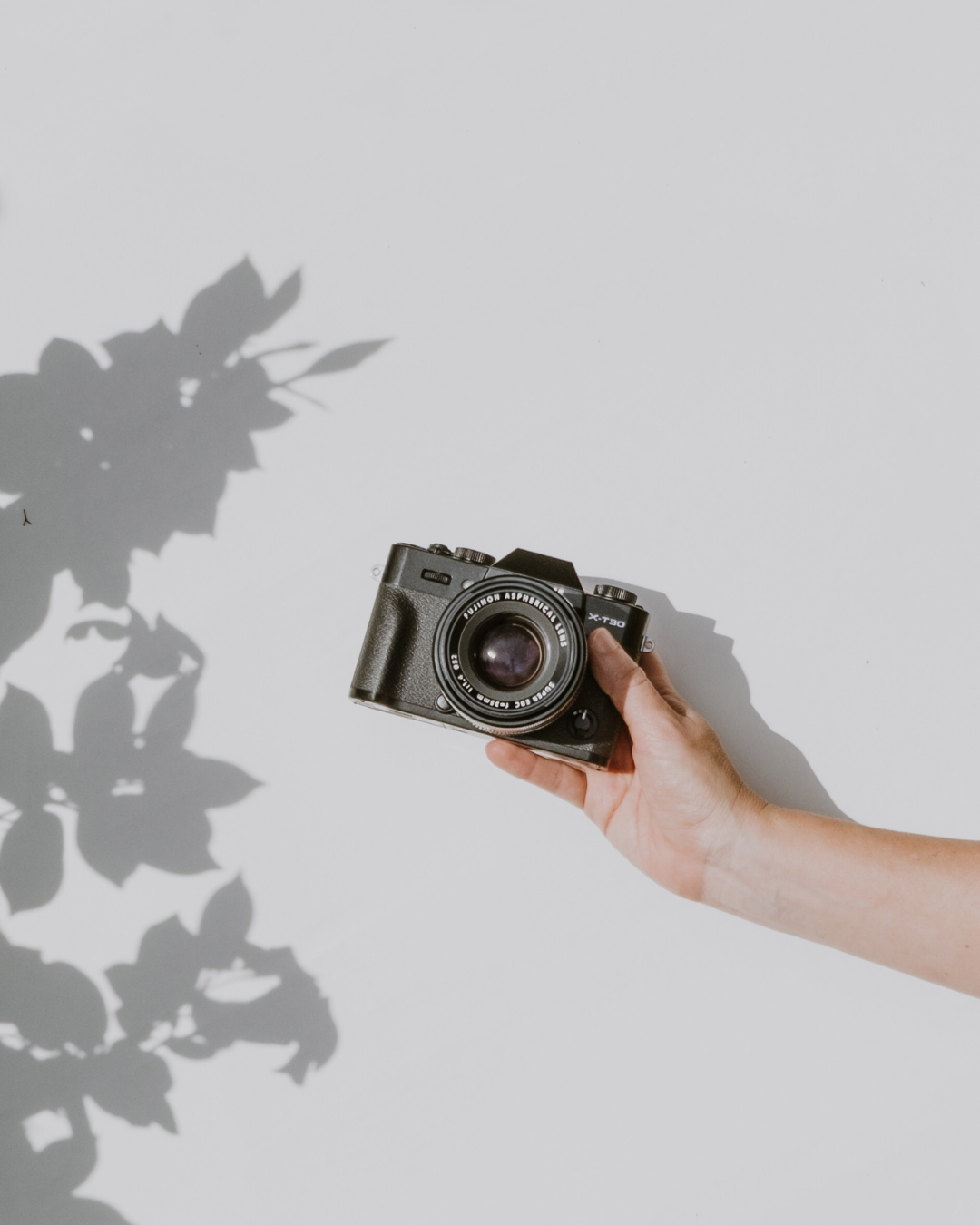 A hand holding a vintage camera casting shadows on a white wall with decorative foliage patterns.