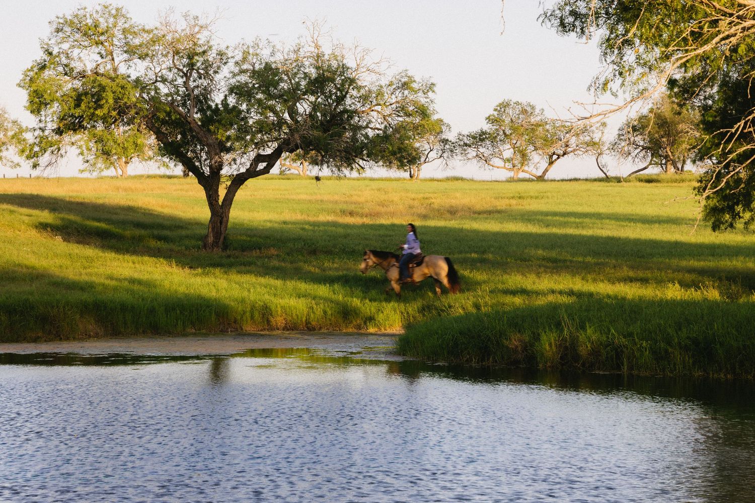 Person riding a horse along a serene pond with lush green fields and trees in a peaceful rural landscape.