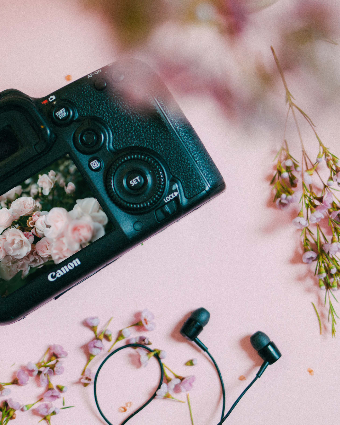 Black Canon camera with cherry blossoms against a pink background in an artistic arrangement.