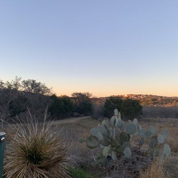 Prickly pear cactus and yucca plants in Texas Hill Country landscape at sunset with clear sky.