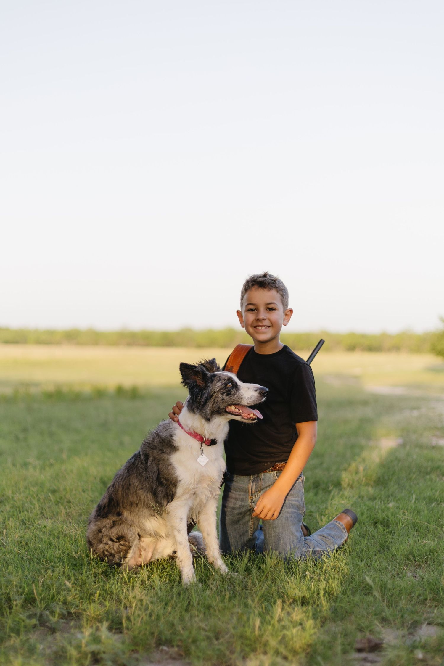 A border collie dog sits in a grassy field on a sunny afternoon with its companion.