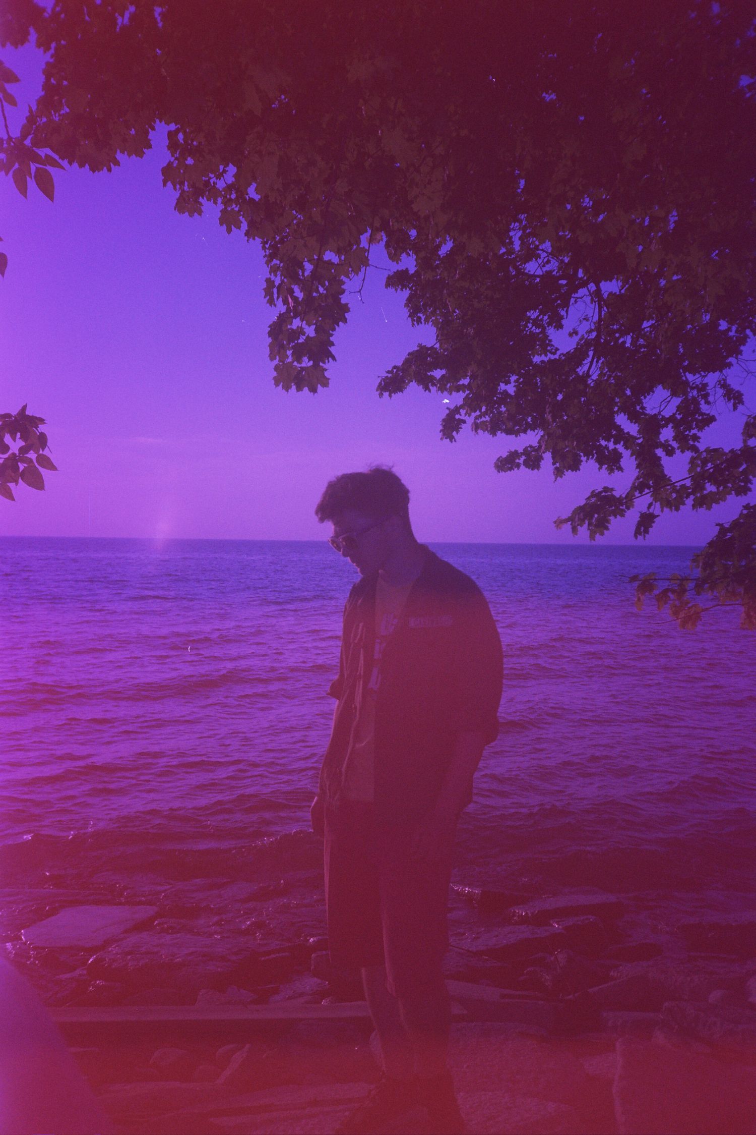 A man standing in front of a body of water under a tree