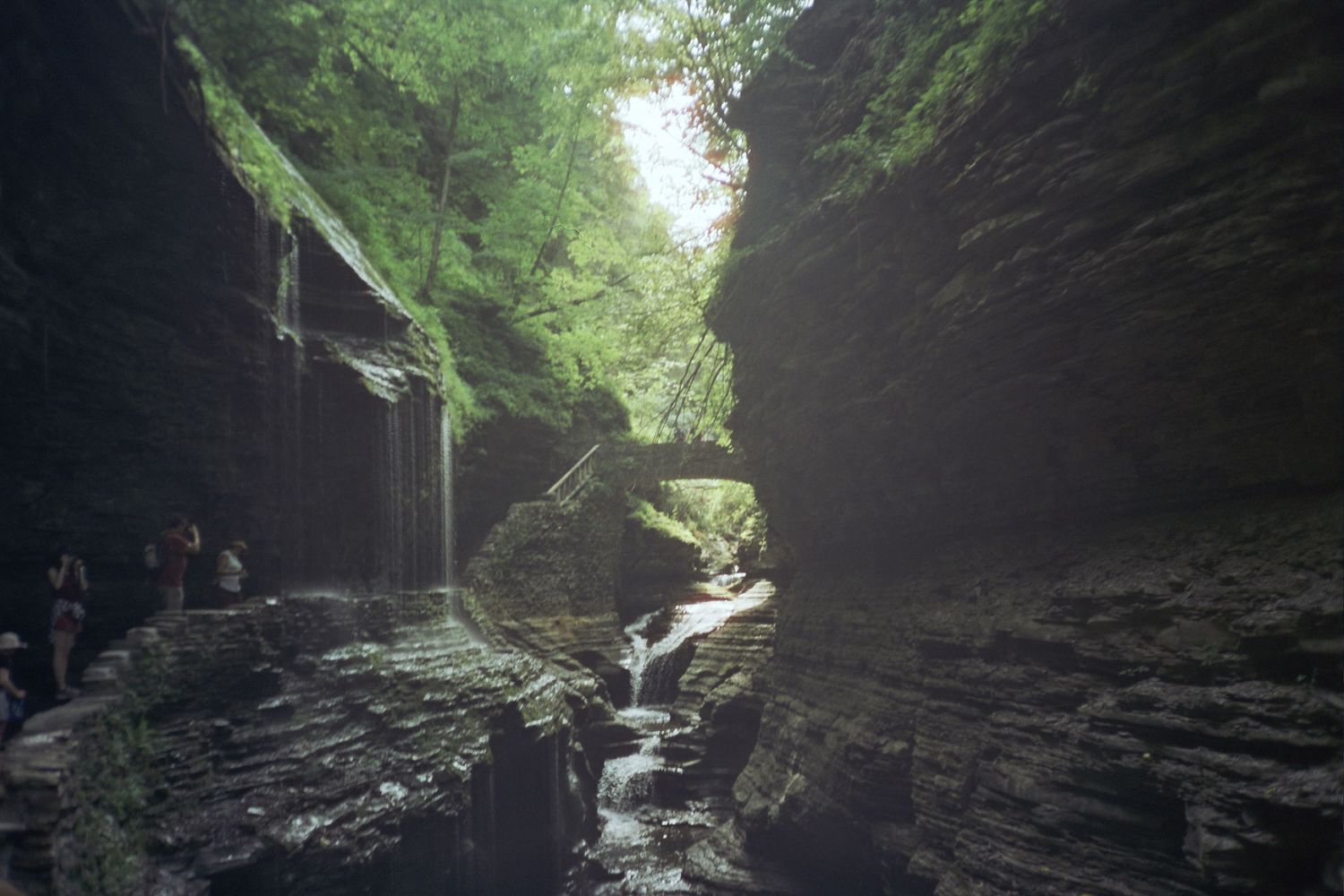 A rock formation with greenery