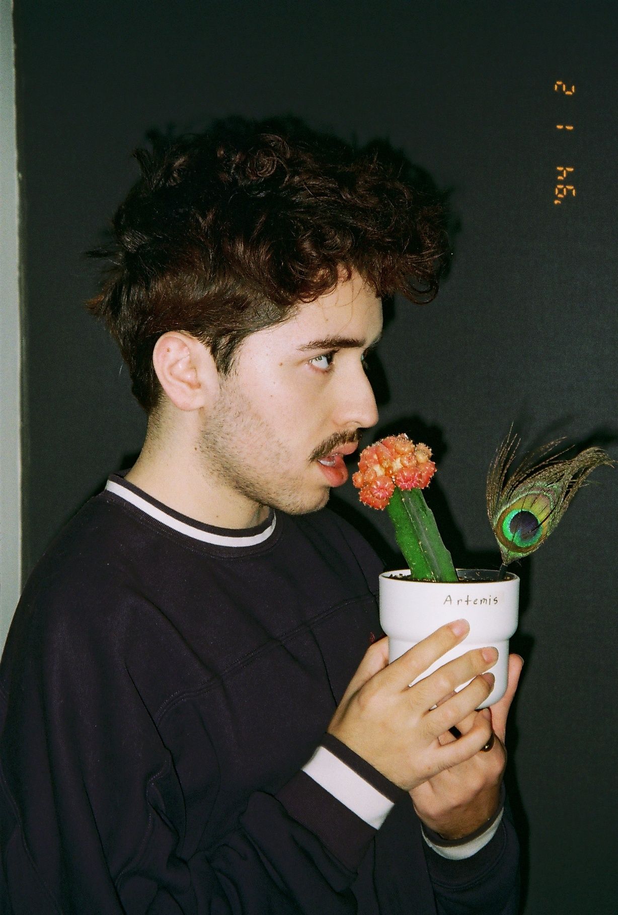 A young man in a blue sweater holding a cactus near his face.