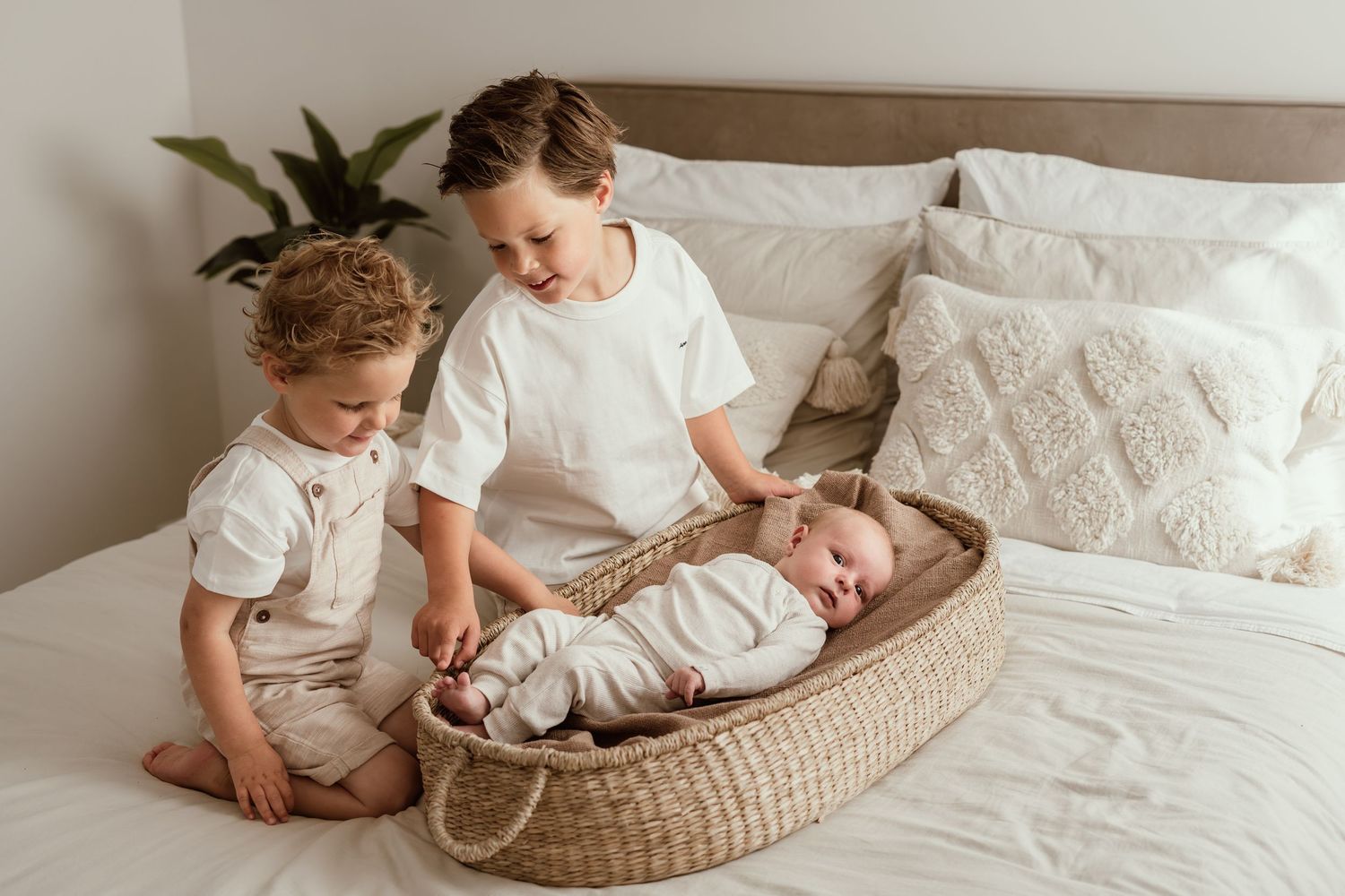 newbornshoot daglichtstudio