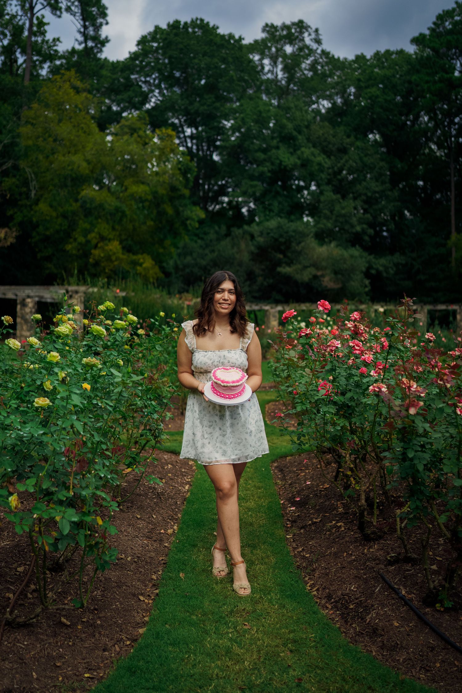 Person carrying pink cake walks through colorful garden path surrounded by roses.