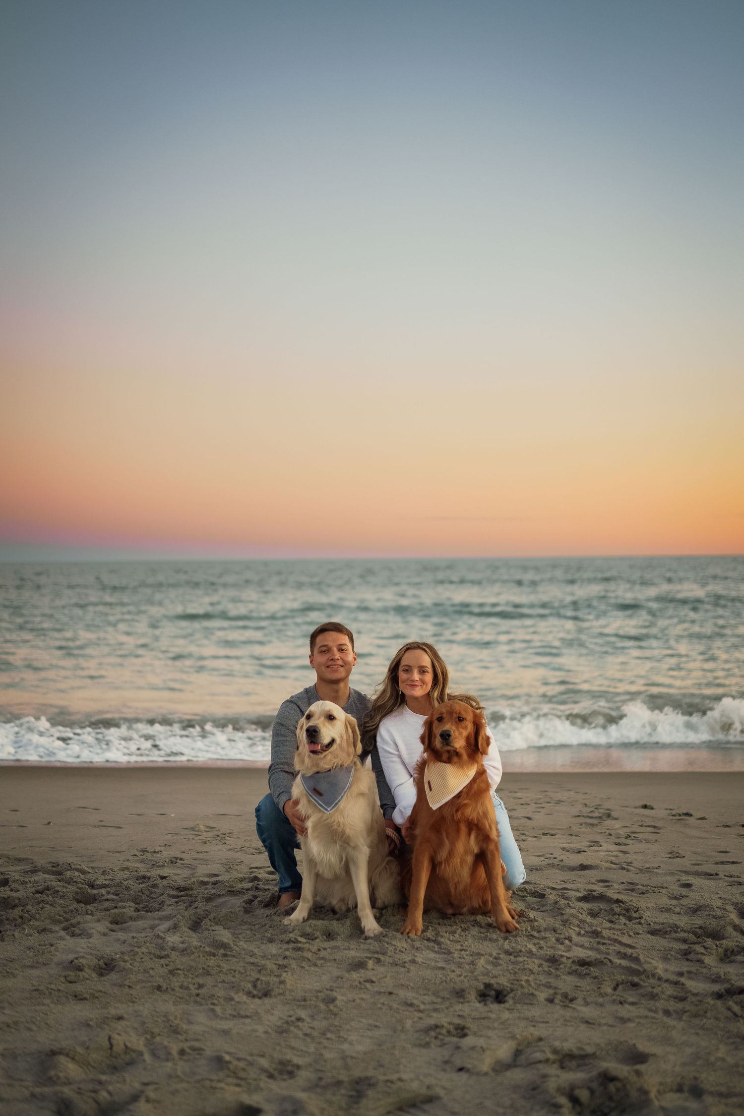 A couple sitting on the beach with their two dogs during golden hour.