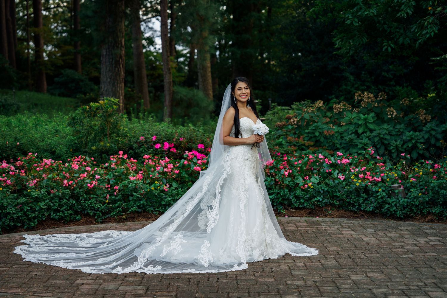 Wedding portrait with lace gown and long veil against a backdrop of vibrant pink garden flowers.