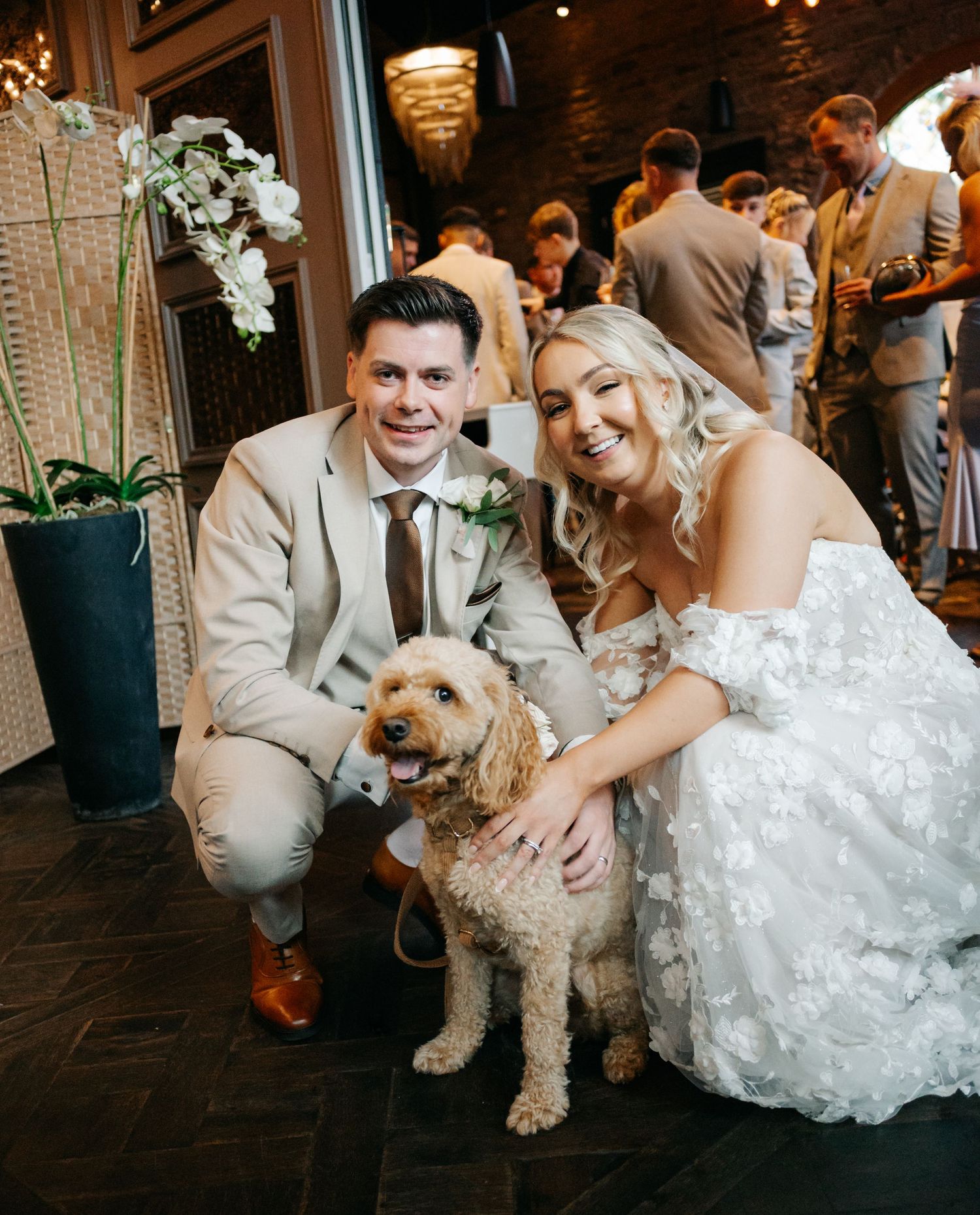 A bride in a white gown kneels next to a fluffy white dog while posing for wedding photos in an elegant venue.