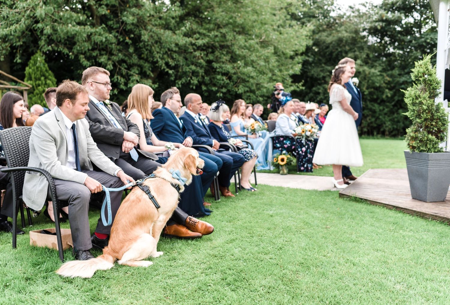 Wedding ceremony guests seated outdoors on chairs with a dog attending the celebration.