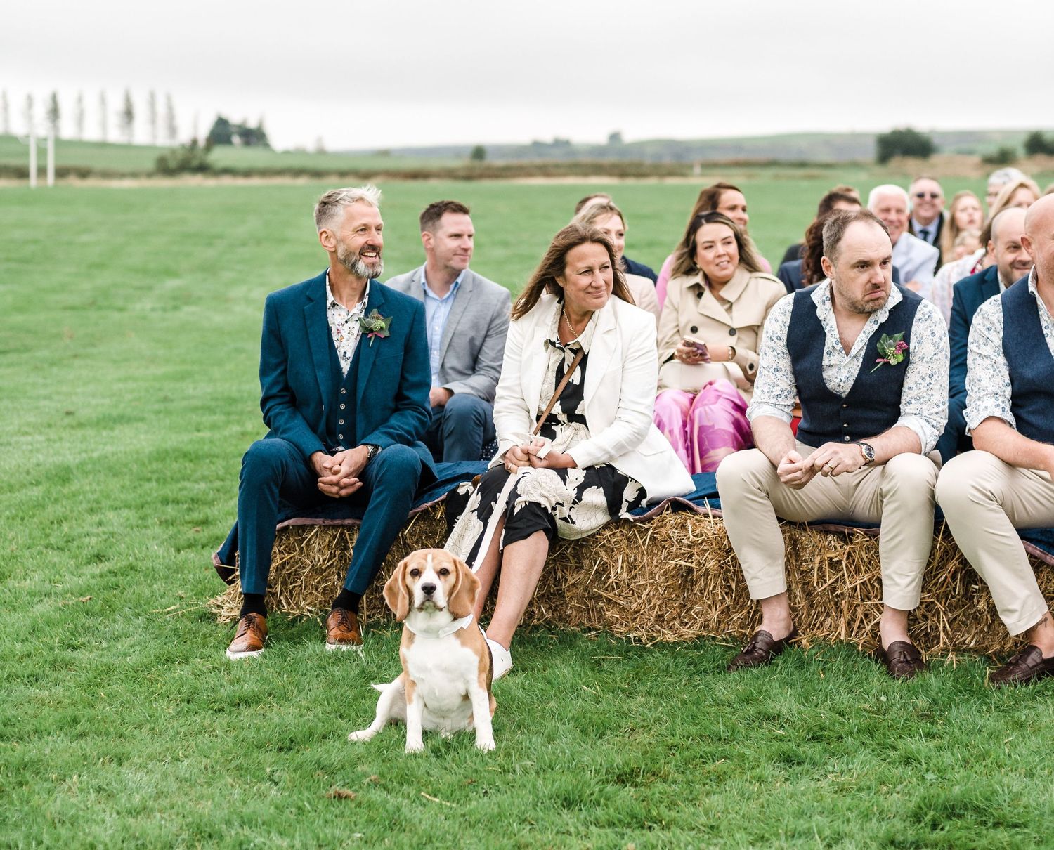 Wedding guests seated on hay bales outdoors with a small dog in the foreground.