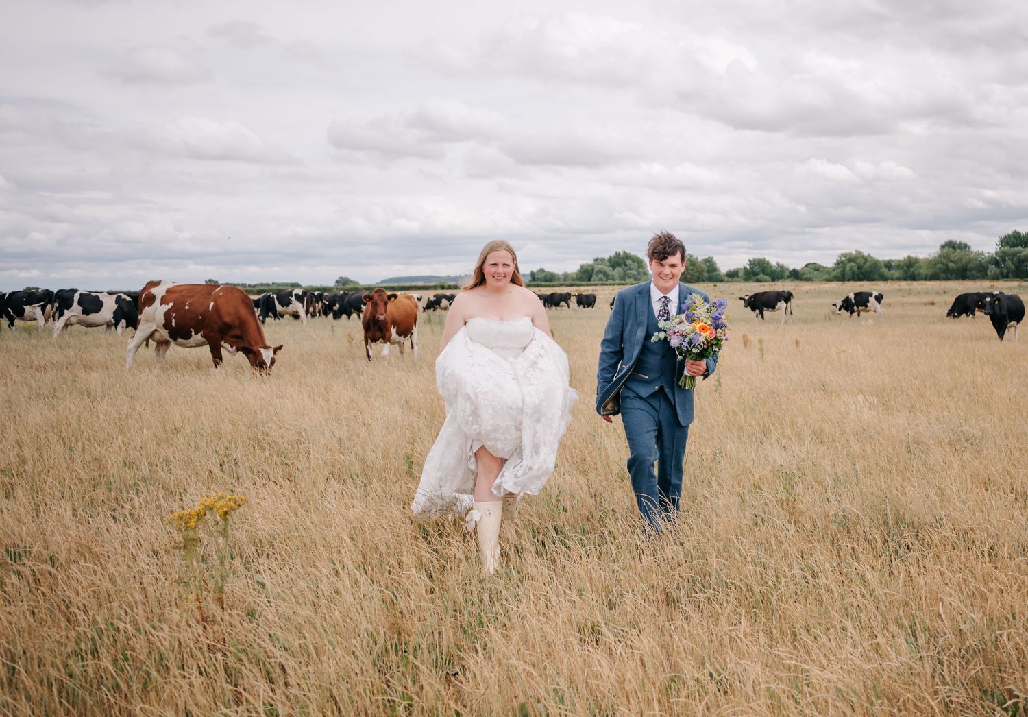 Wedding couple stands in golden field with cattle grazing in background under cloudy sky.