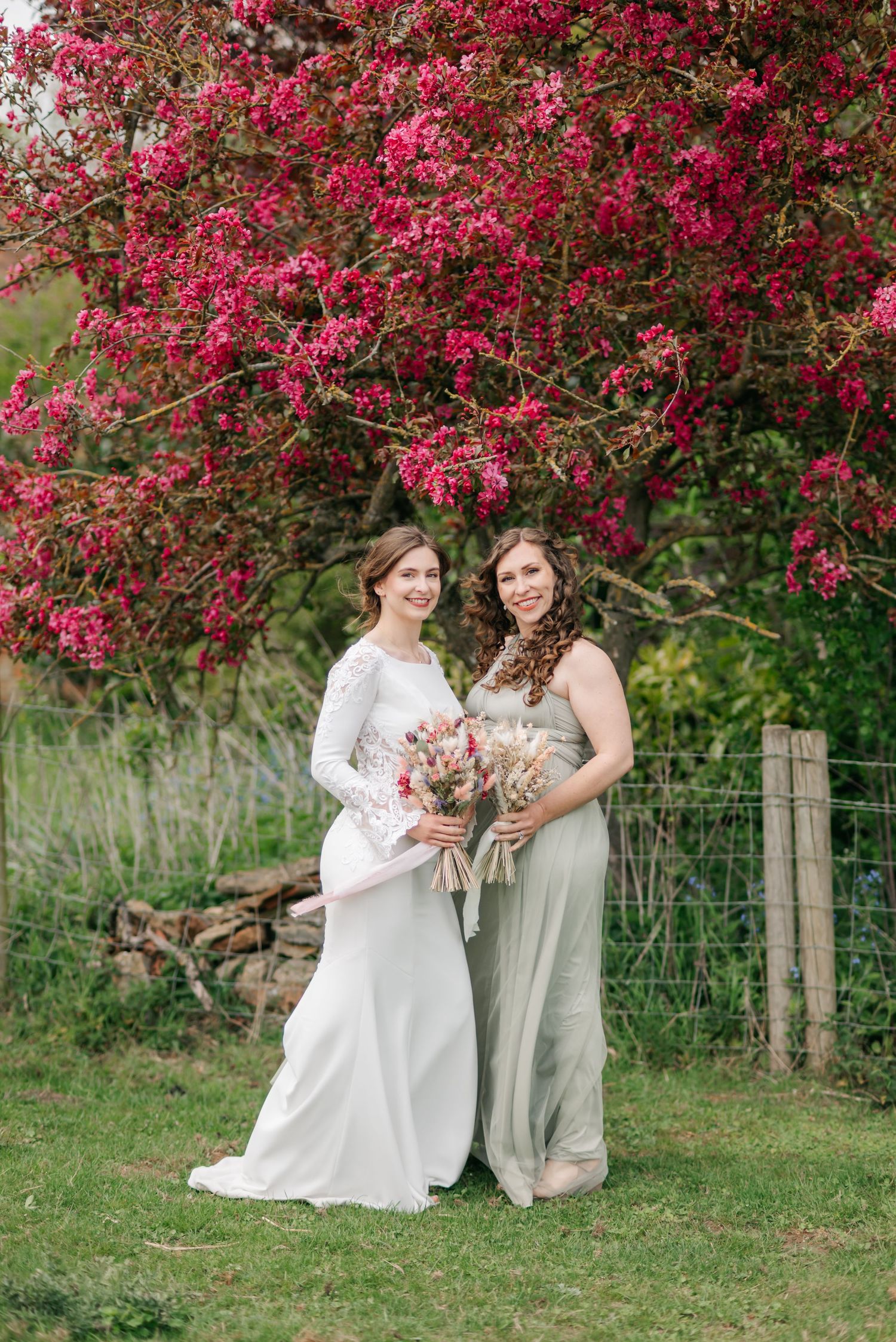 Wedding party poses beneath a blooming pink cherry blossom tree in spring.