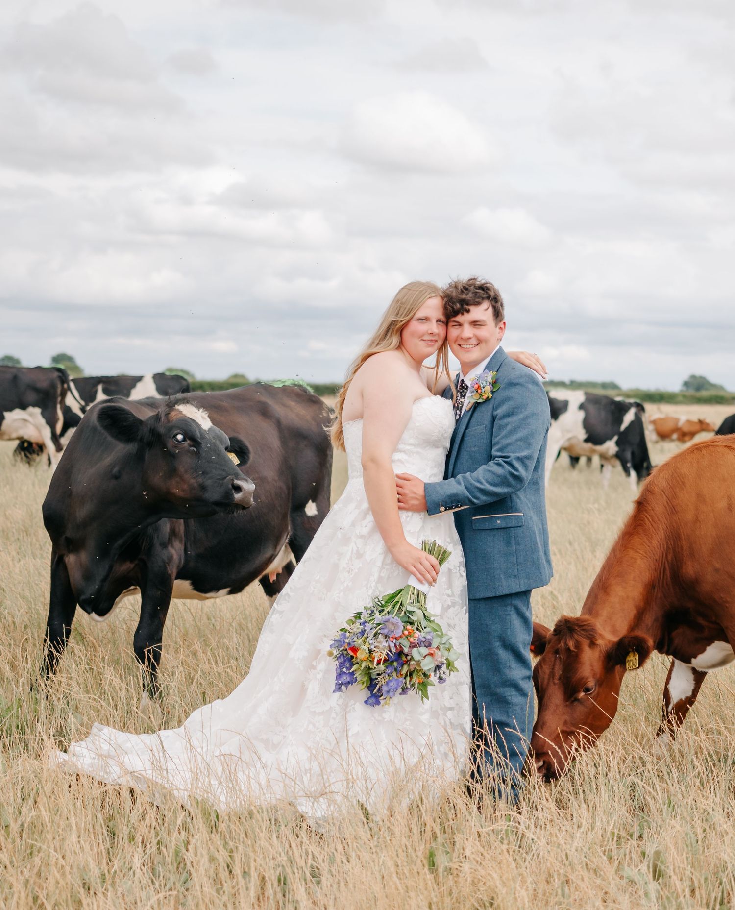 Newlyweds share romantic moments in a field with grazing cows creating a unique countryside wedding photo.