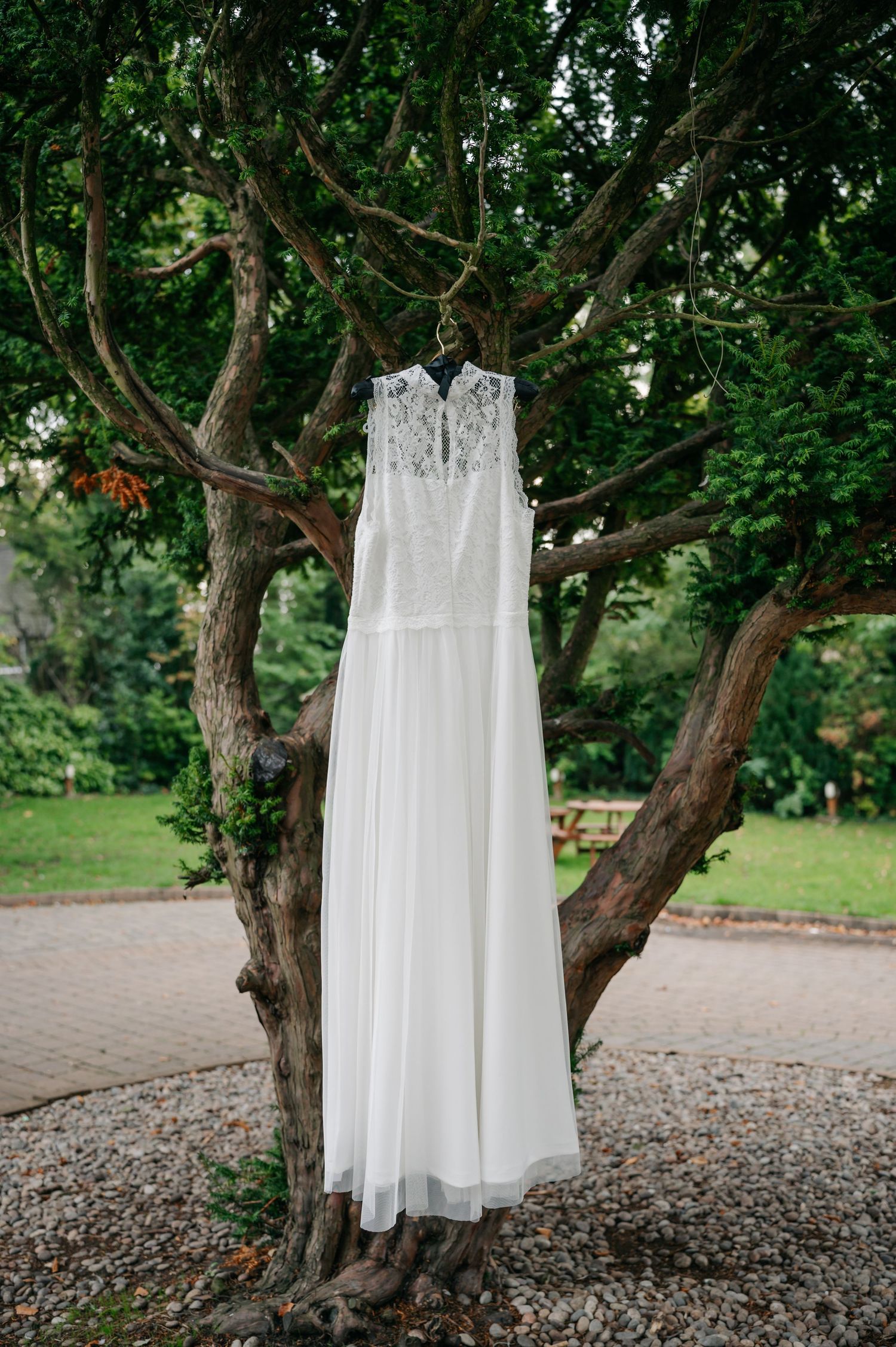 Elegant white wedding dress hanging from a rustic tree branch in a garden setting.