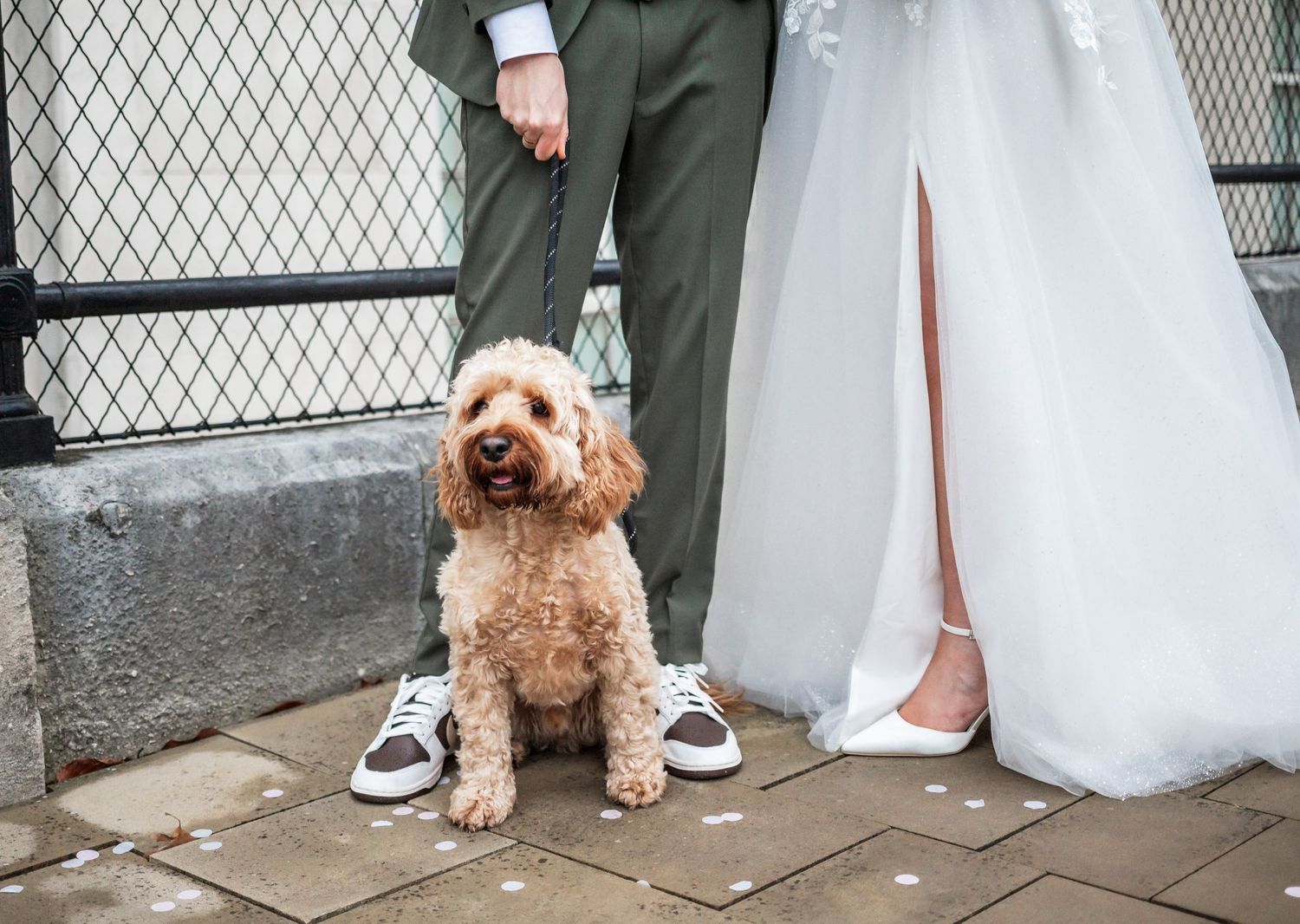 Cute goldendoodle dog sits at feet of wedding couple on stone pavement.