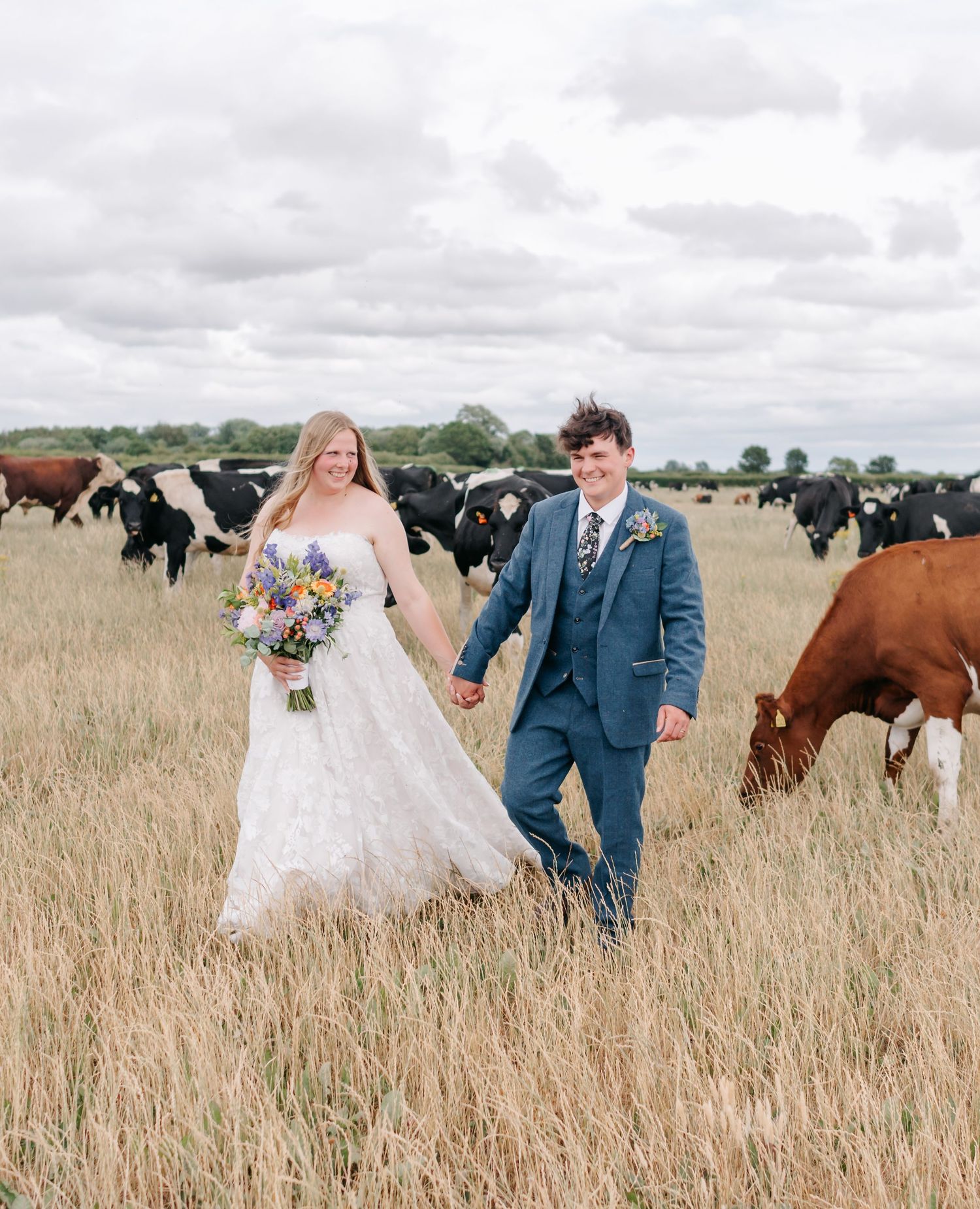 A couple in wedding attire walks through a tall grass field with grazing cattle in the background.