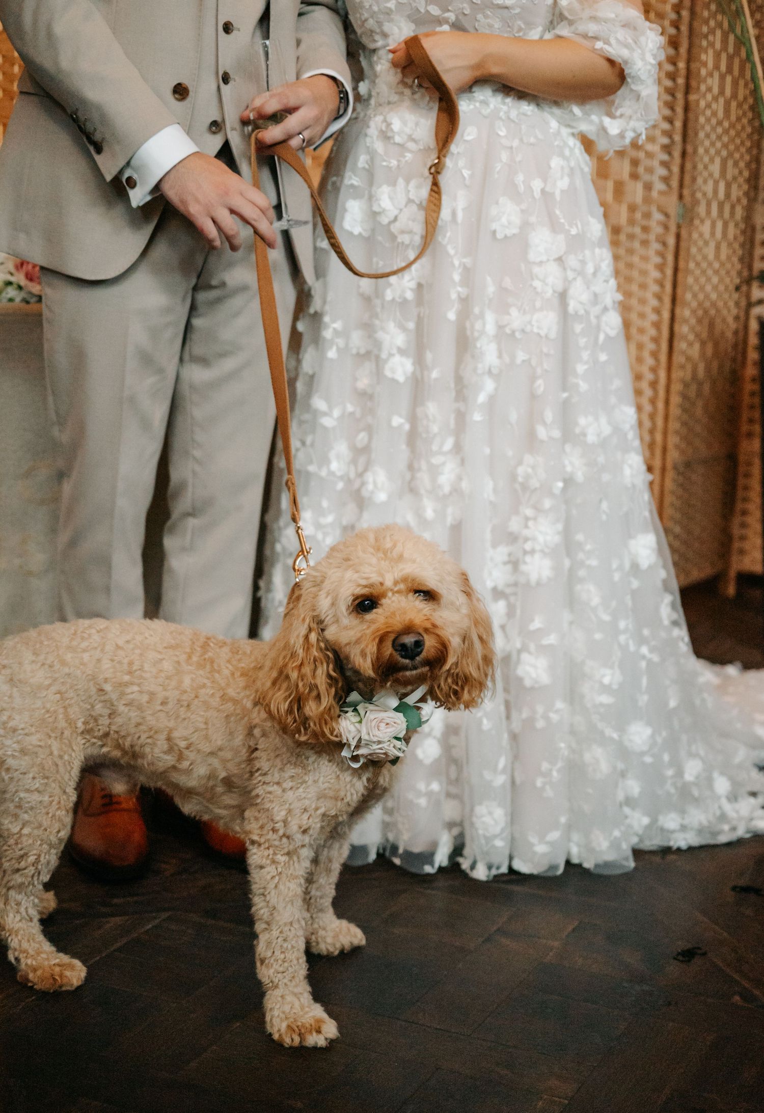 A fluffy goldendoodle dog poses with wedding party members wearing a gray suit and white dress at an indoor venue.