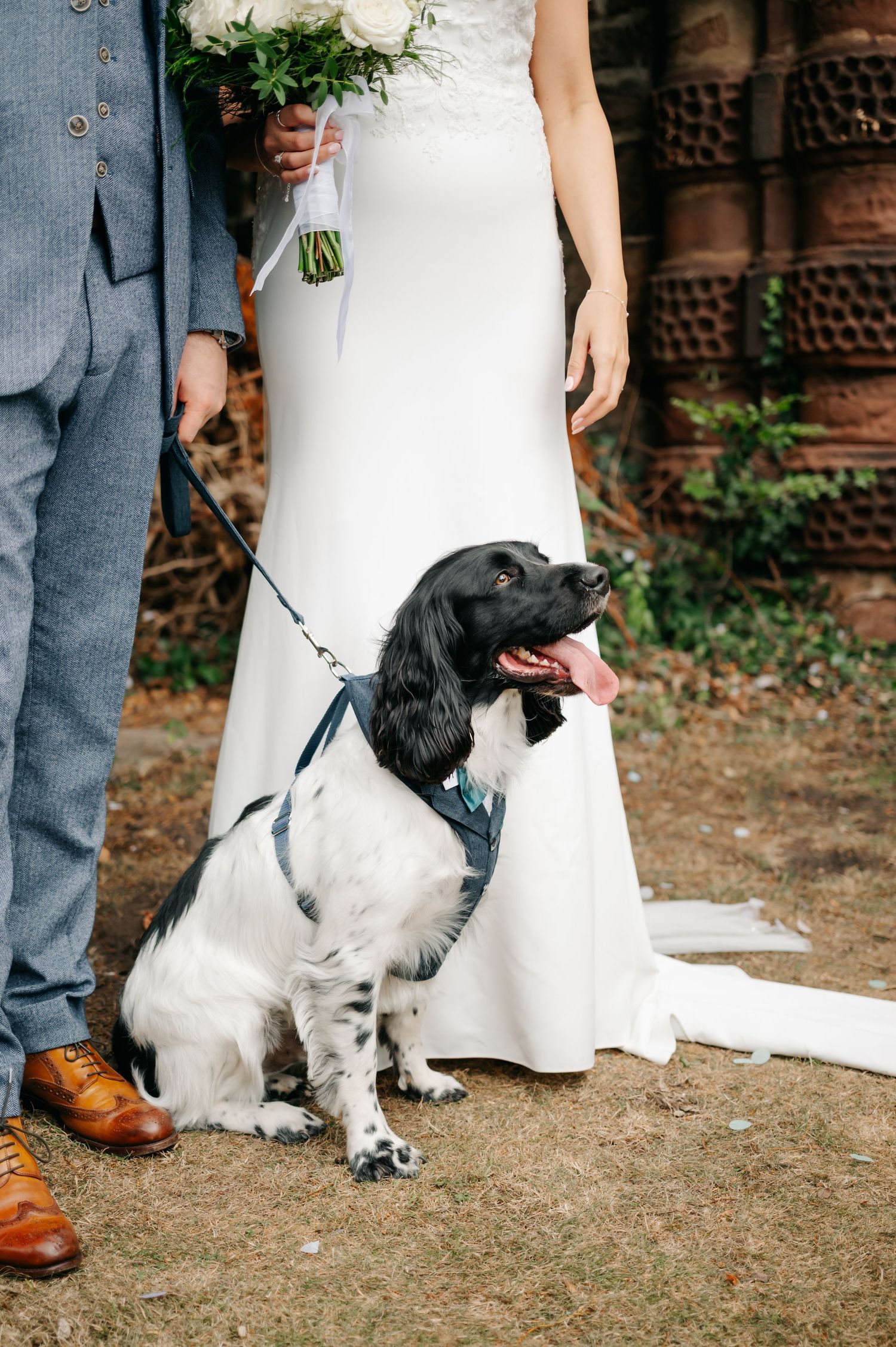 A black and white dog sits at the feet of wedding attendees in formal attire.
