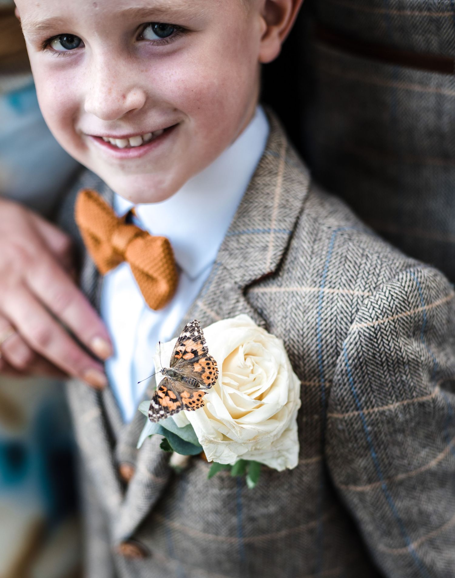 Close up of ivory rose and butterfly boutonniere on tweed jacket.