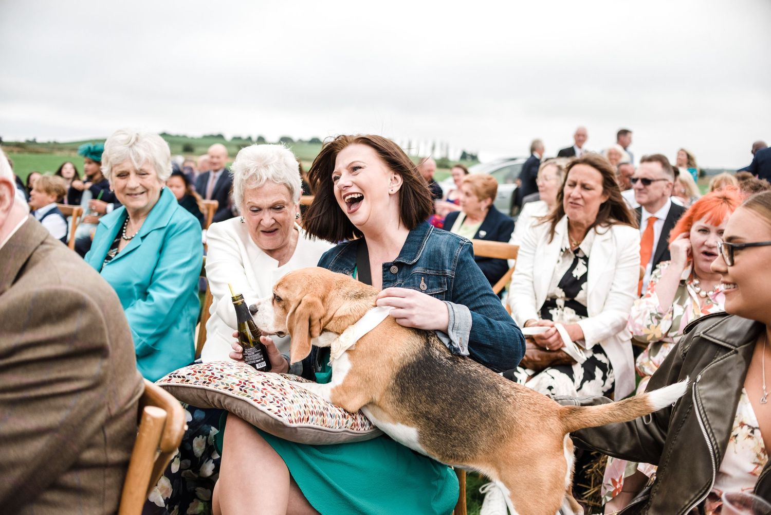 Group of guests and a dog sharing a joyful moment at an outdoor celebration.
