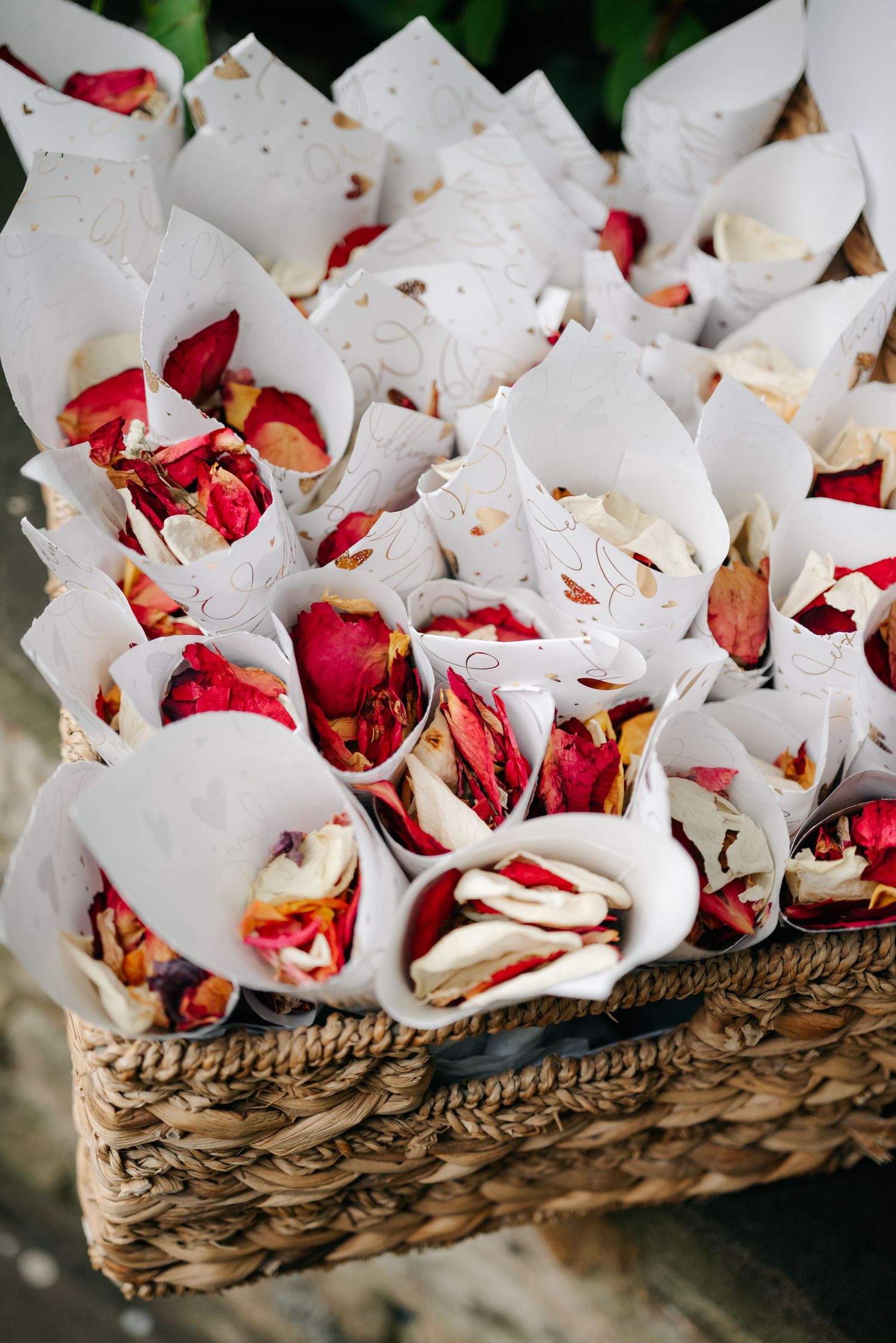 White paper cones filled with red rose petals arranged in woven basket for wedding toss.