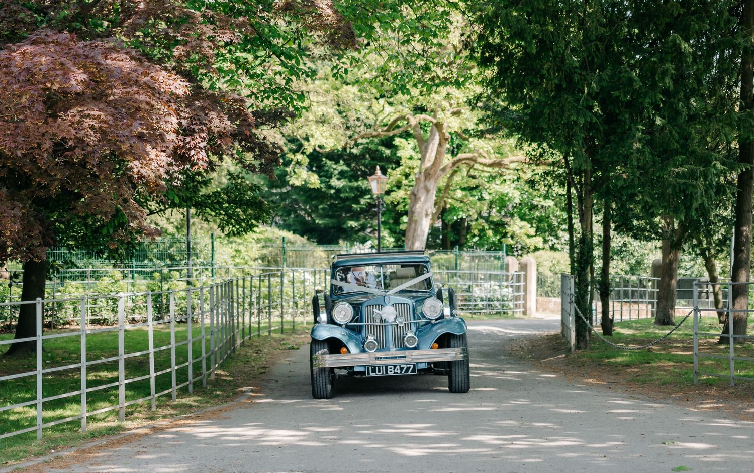 A panoramic view of a tree-lined driveway with iron gates and fencing leading to an estate entrance.