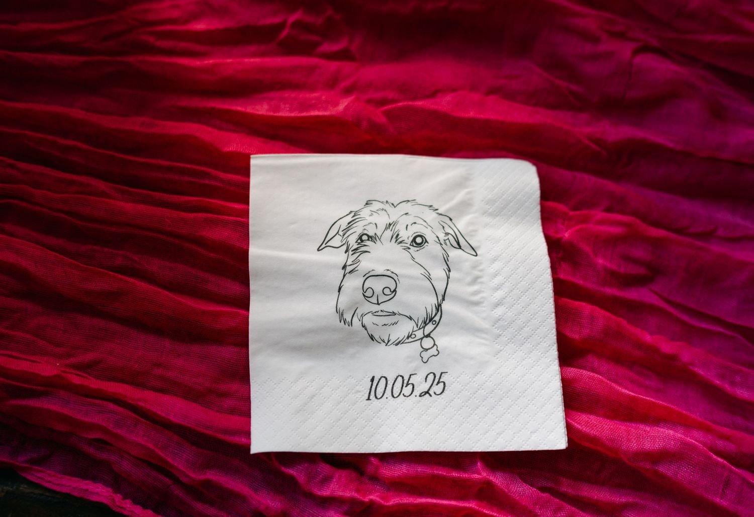 Simple hand-drawn sketches on white paper against a deep red textured background.
