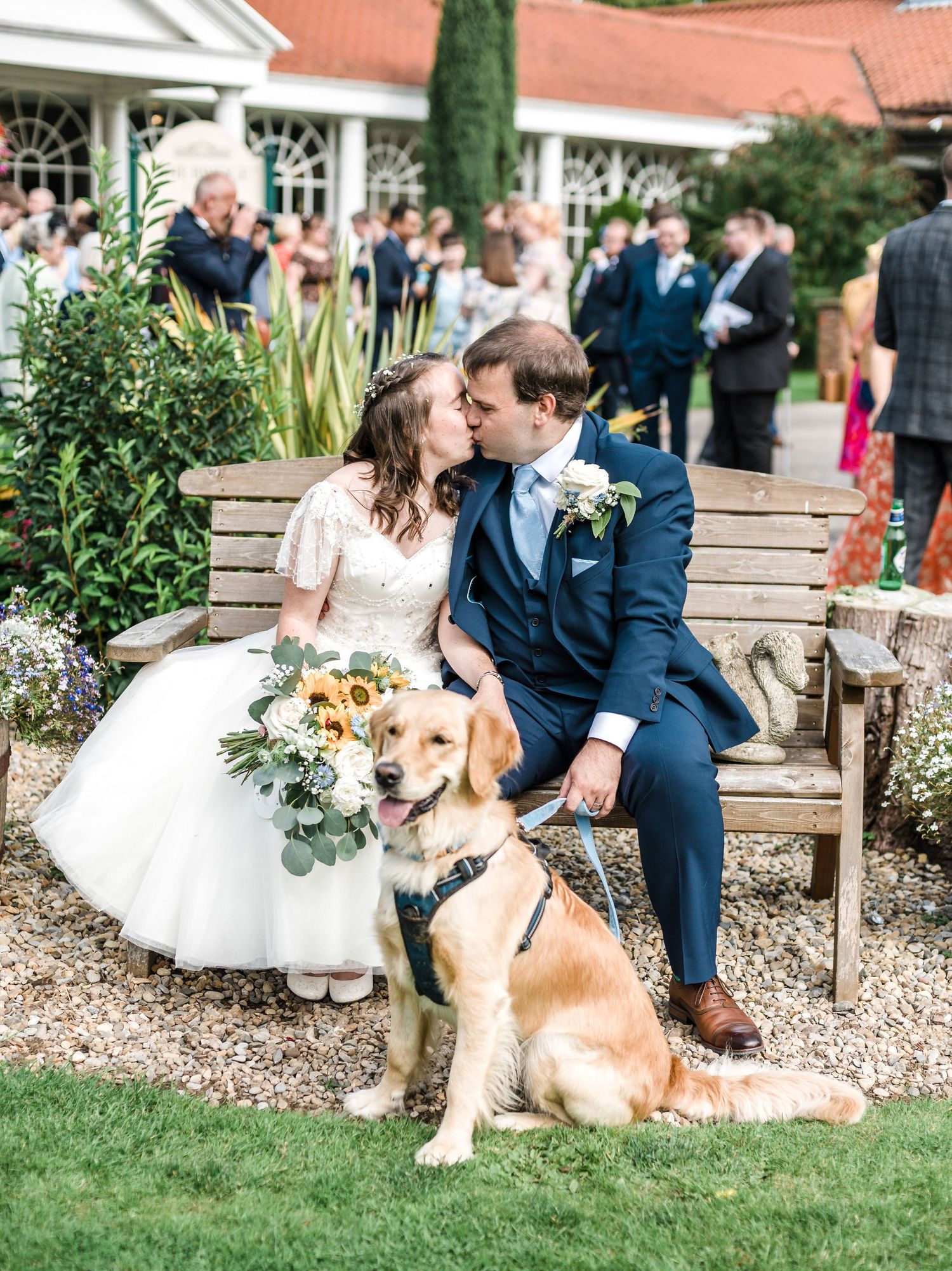 Wedding couple sits on bench with their happy golden retriever wearing formal attire.