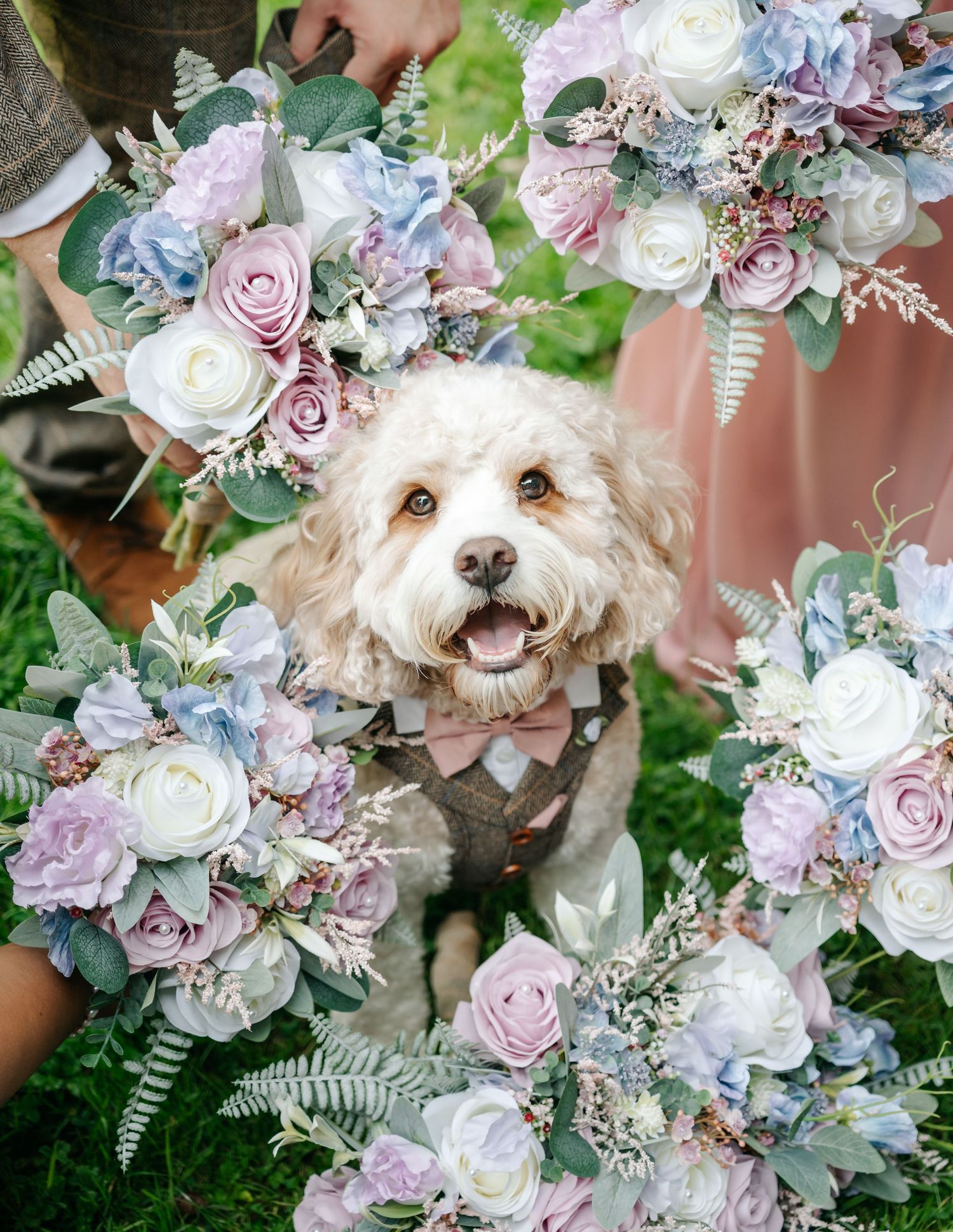 Fluffy white dog in bow tie surrounded by pastel pink and blue wedding bouquets at an outdoor wedding.