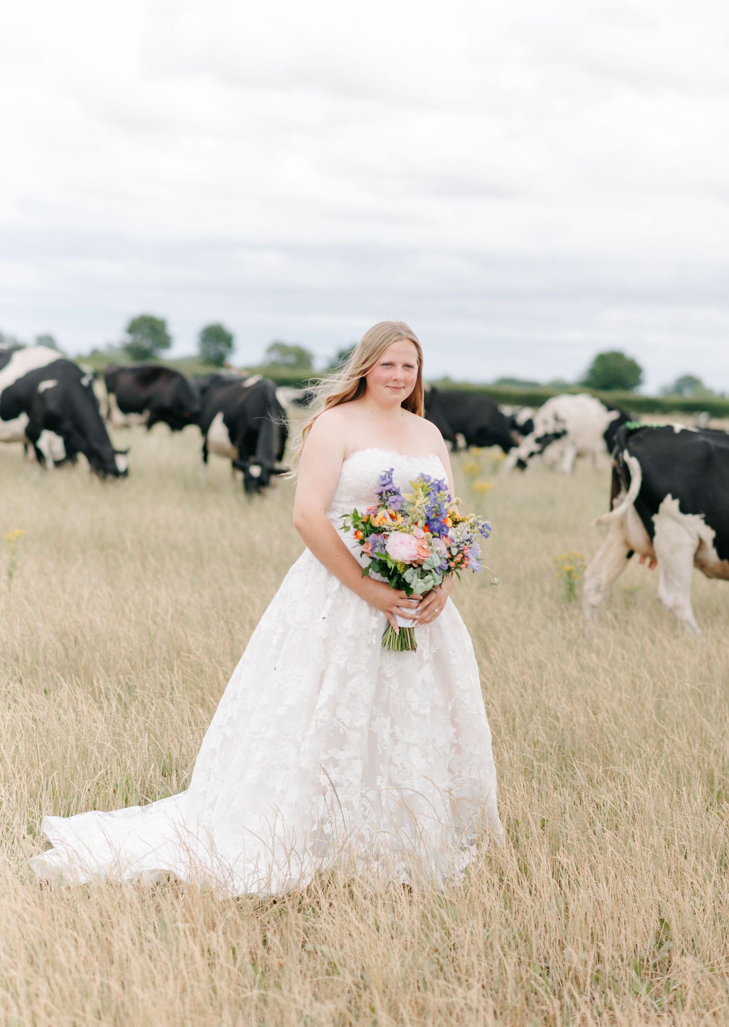 Bride in lace dress holds colorful bouquet while standing in field with grazing cows.