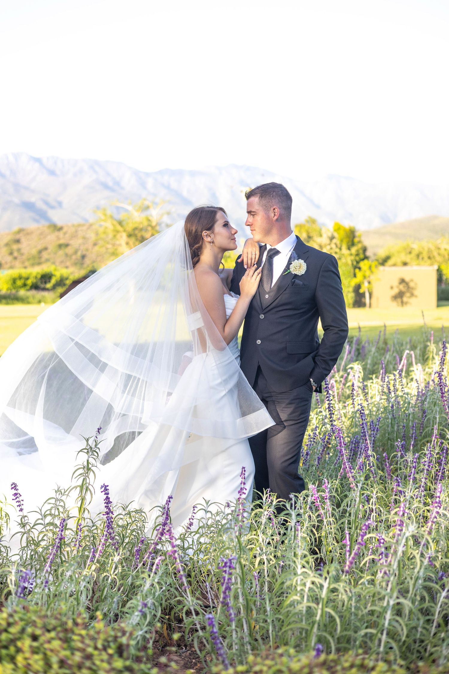 A wedding couple embraces in a field of purple wildflowers with mountains in the background on a sunny afternoon.