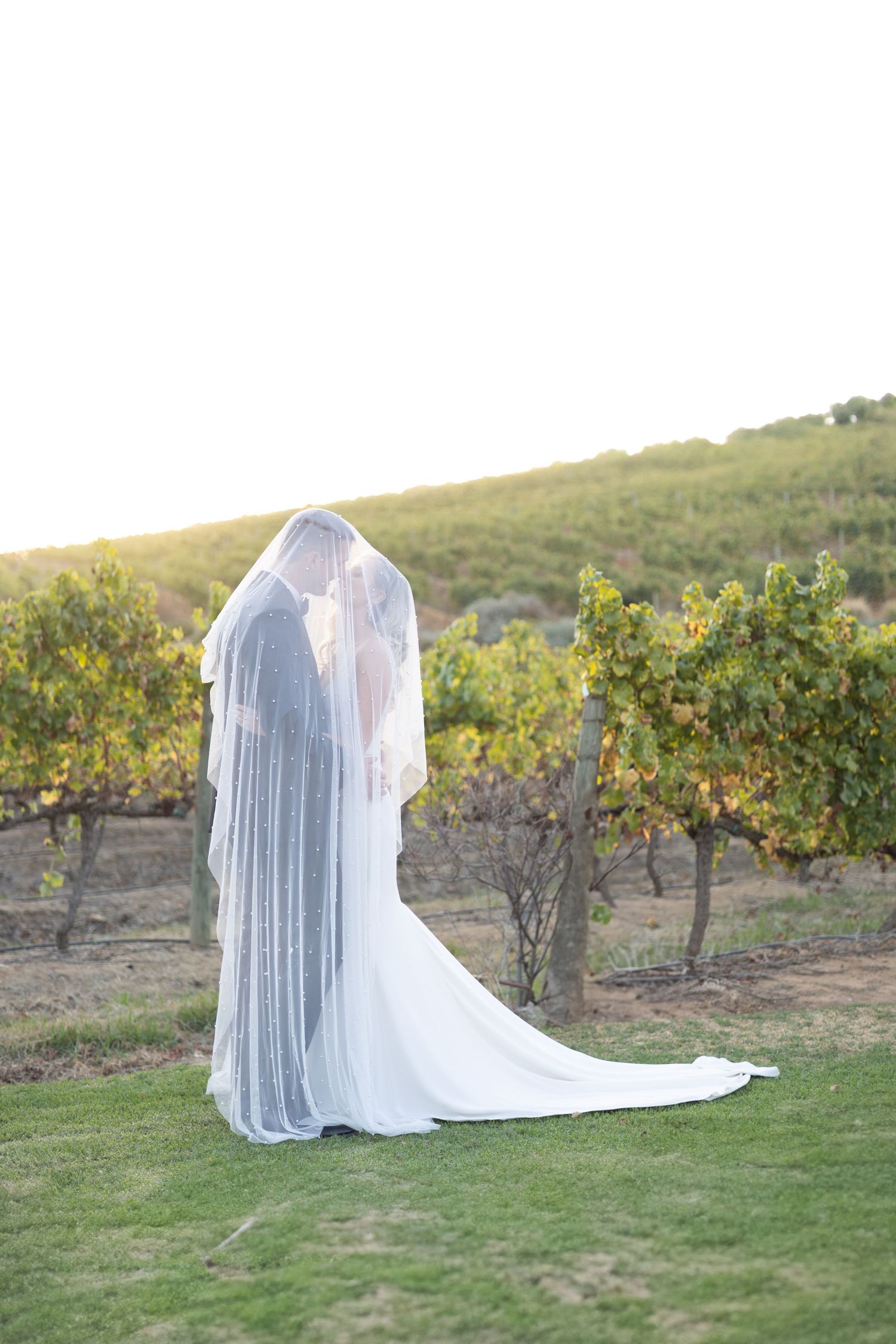 Wedding couple shares an intimate moment under flowing veil in vineyard setting at sunset.
