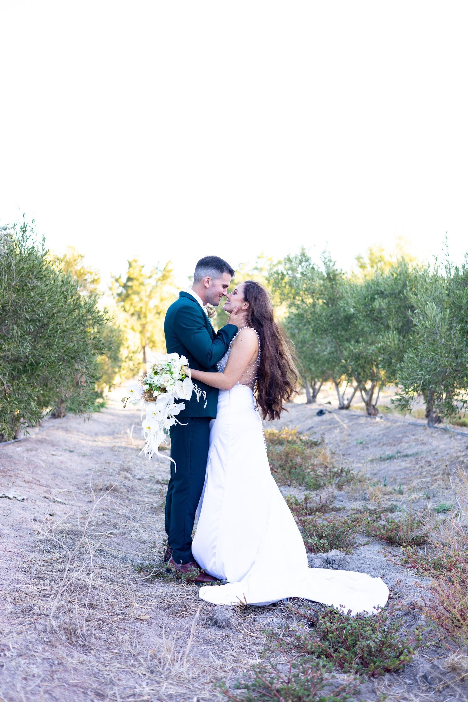 A newlywed couple sharing a romantic moment in an olive grove at sunset.