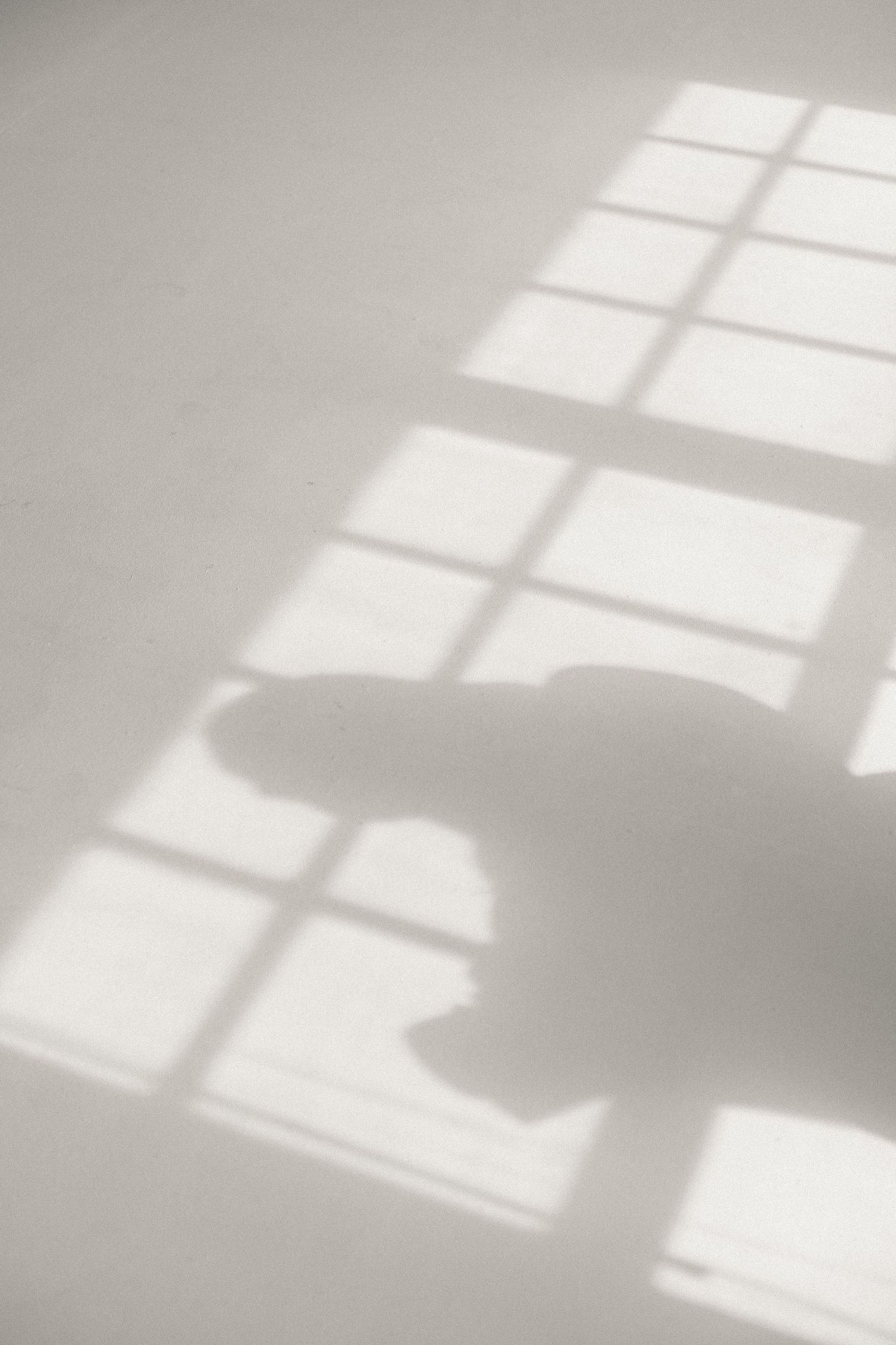 Artistic shadow of window panes casting geometric patterns on a white wall.