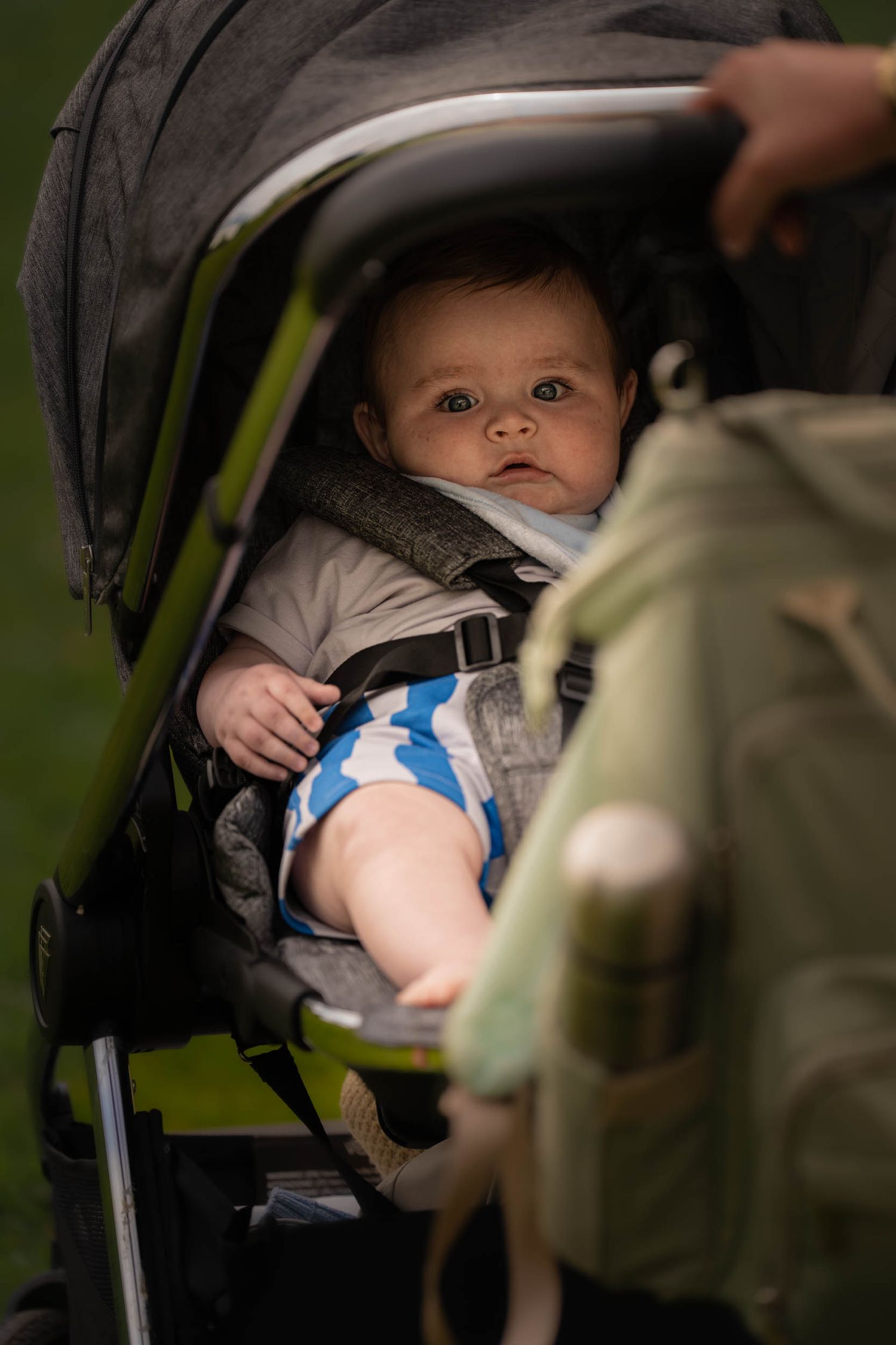 Family Portraits, Family Photography North Lanarkshire